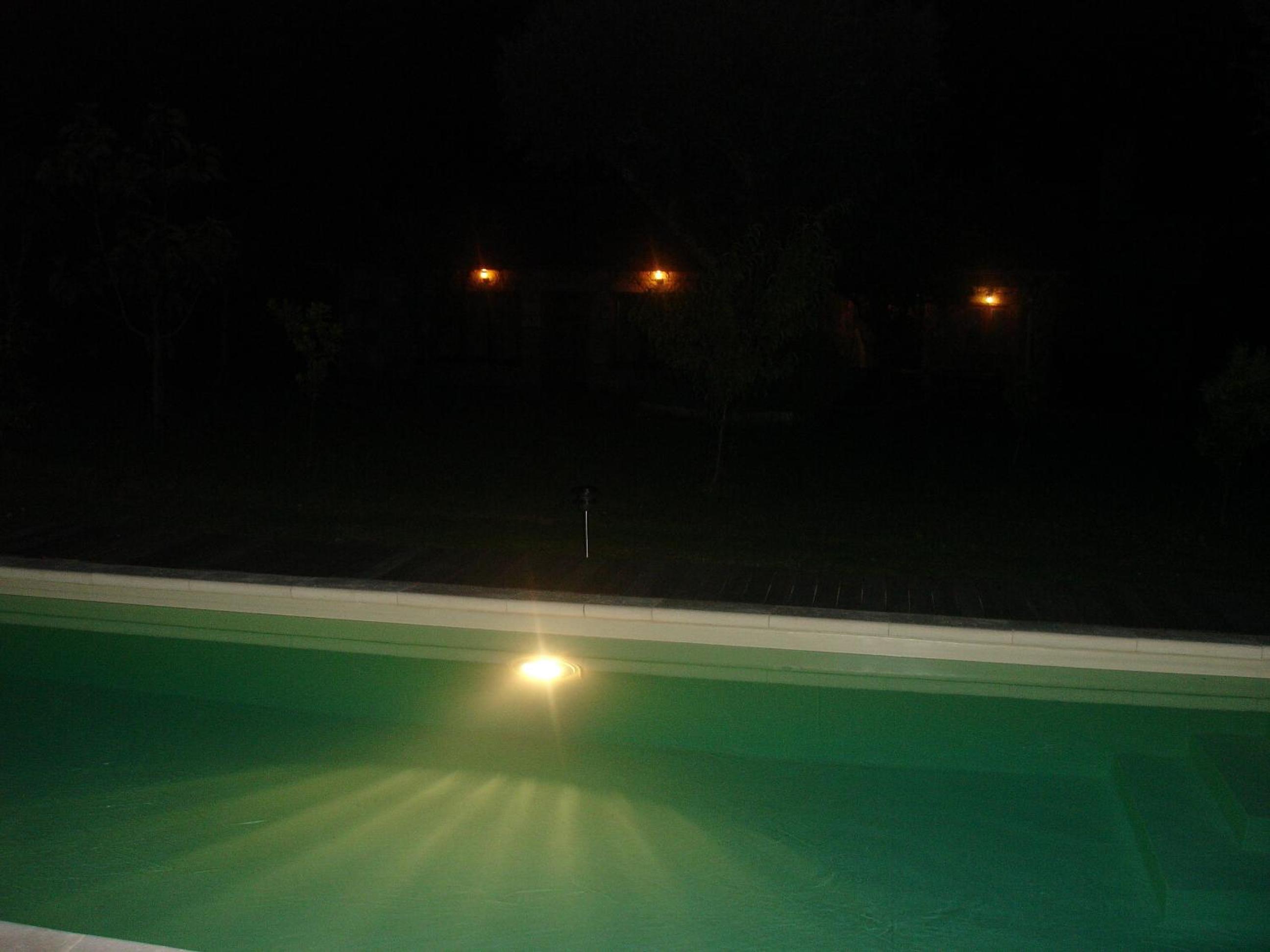 Photo 45