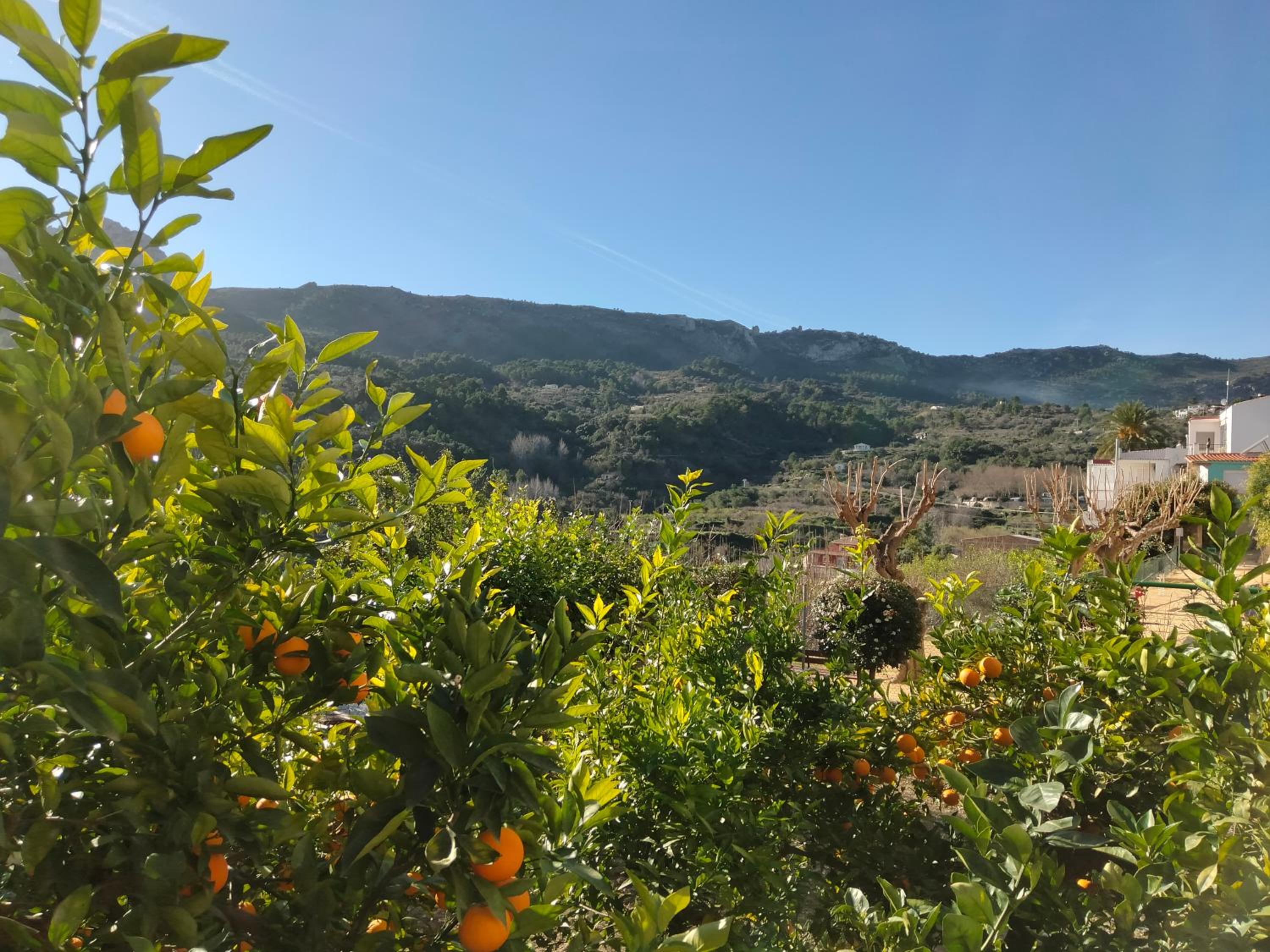 Les Penyetes Boutique Bed and Breakfast