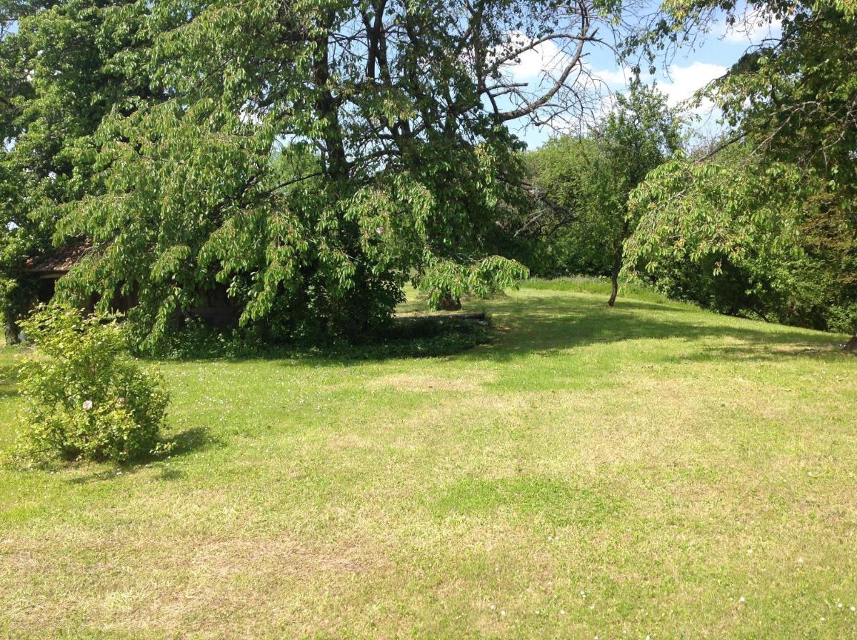 Photo 45