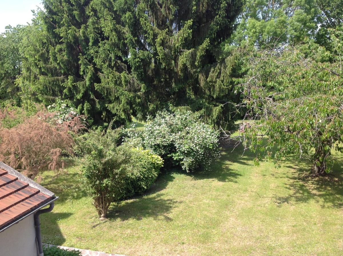 Photo 46