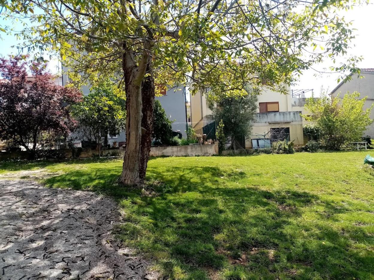Photo 42