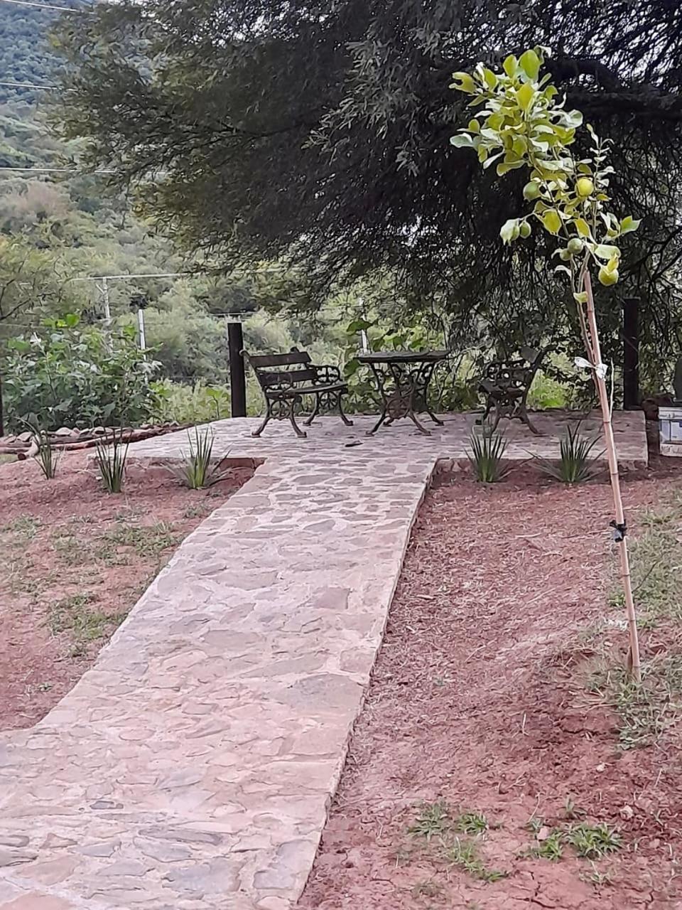 Departamento en la naturaleza
