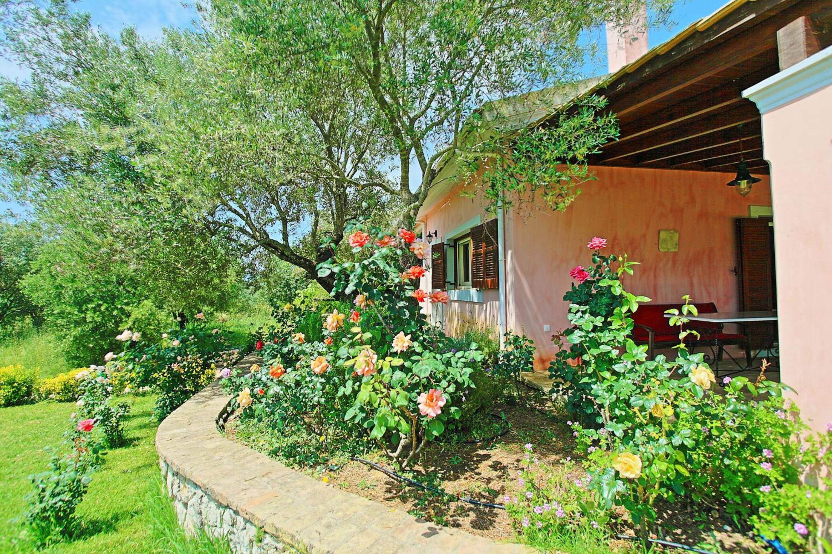 Hotel Villa Kleopatra - Image 1