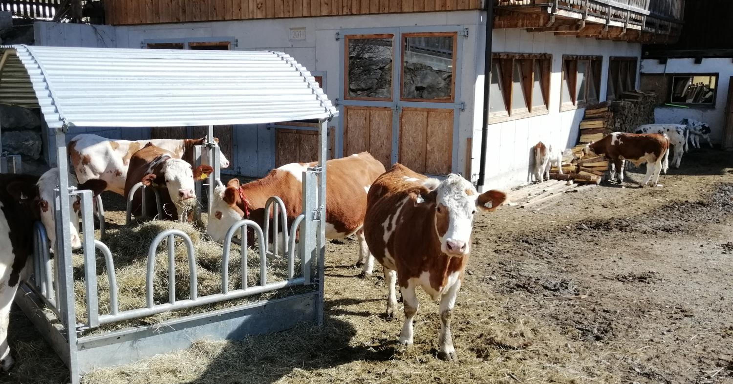 Ferienwohnungen Niederarnigerhof Familie Bauernfeind