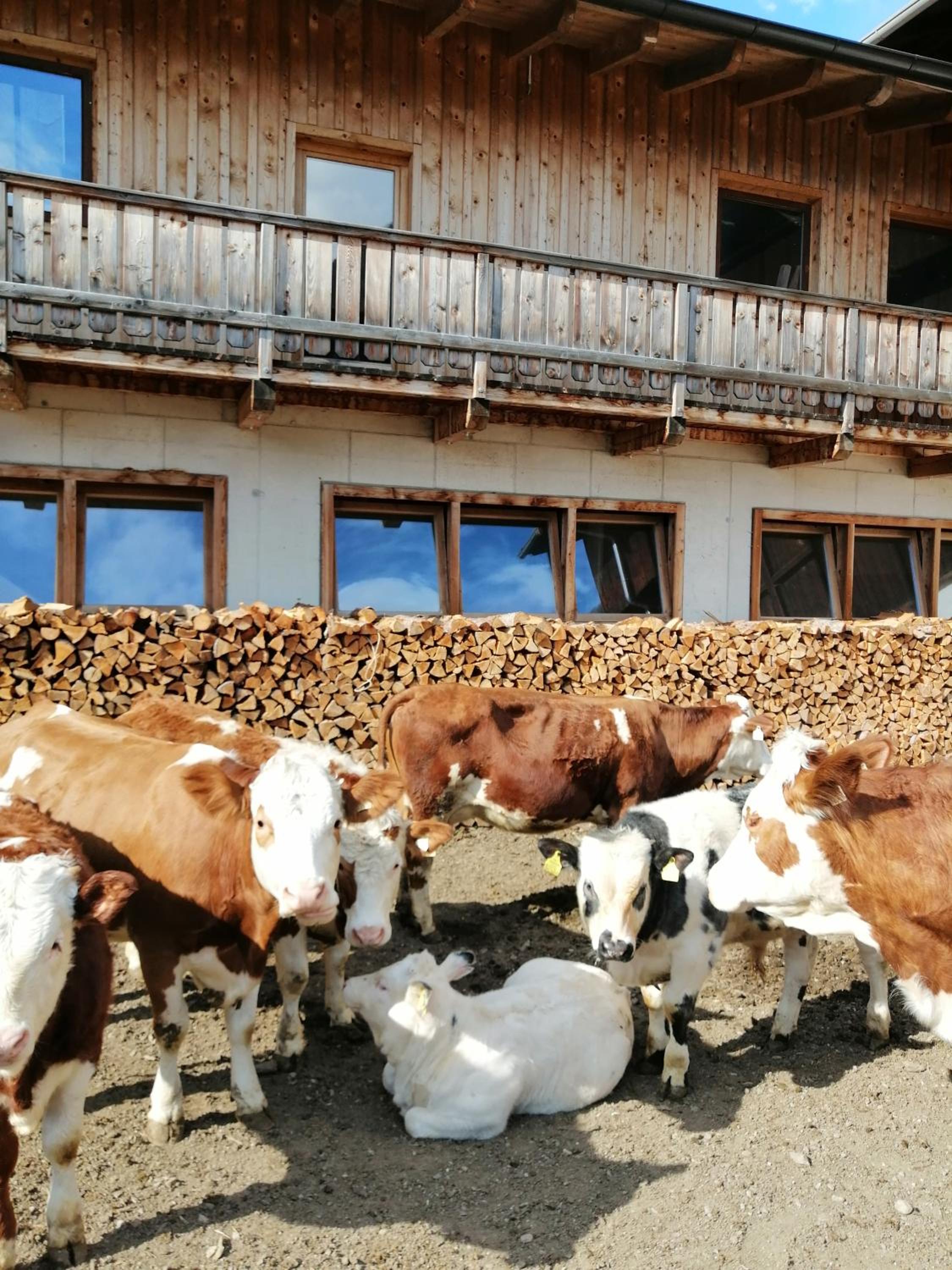 Ferienwohnungen Niederarnigerhof Familie Bauernfeind