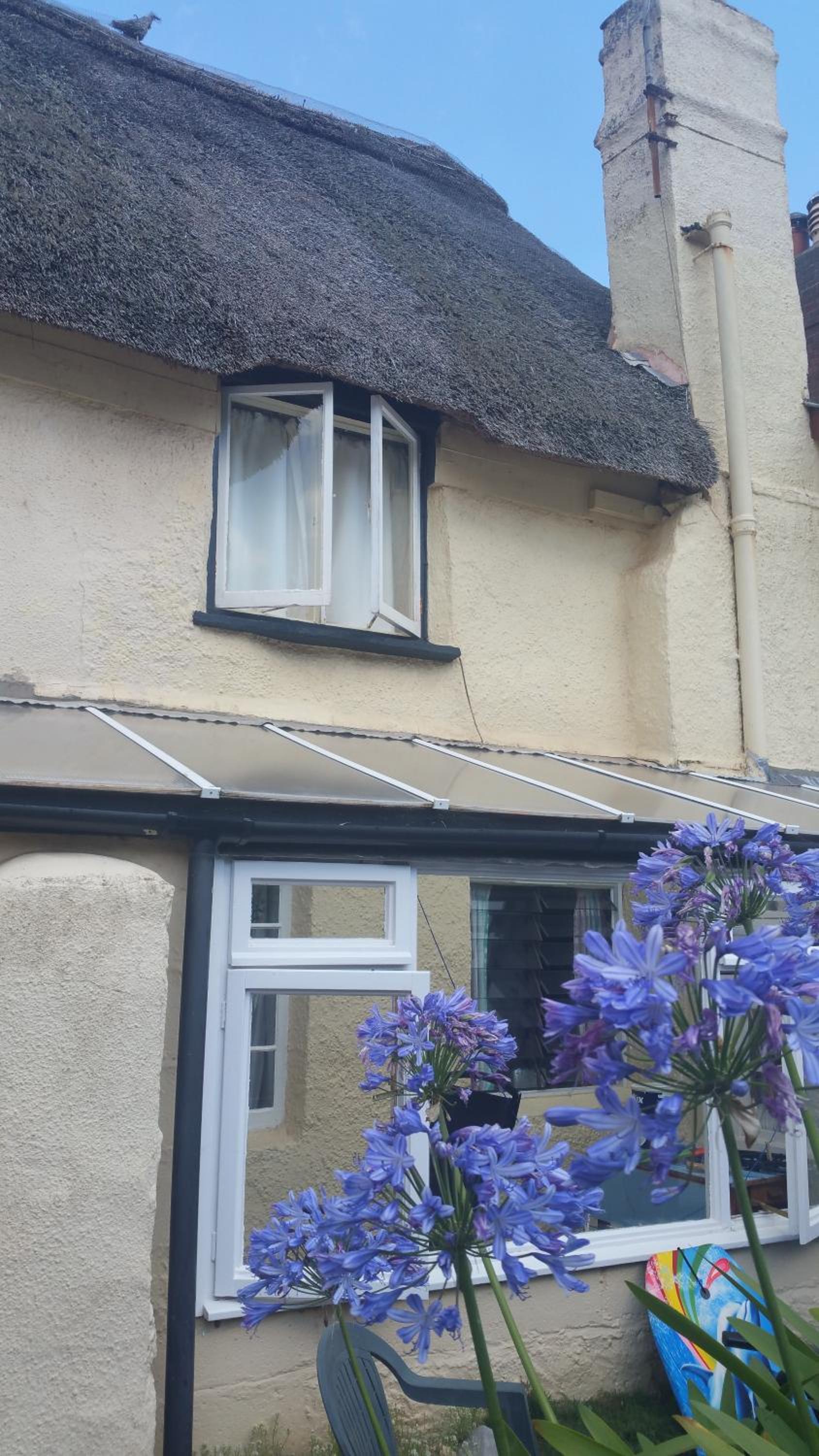 Dolphin Cottage 50m from Shaldon Beach! view 3