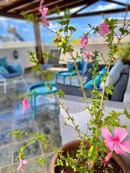 Hibiscus Penthouse vue mer 2 chambres view 2