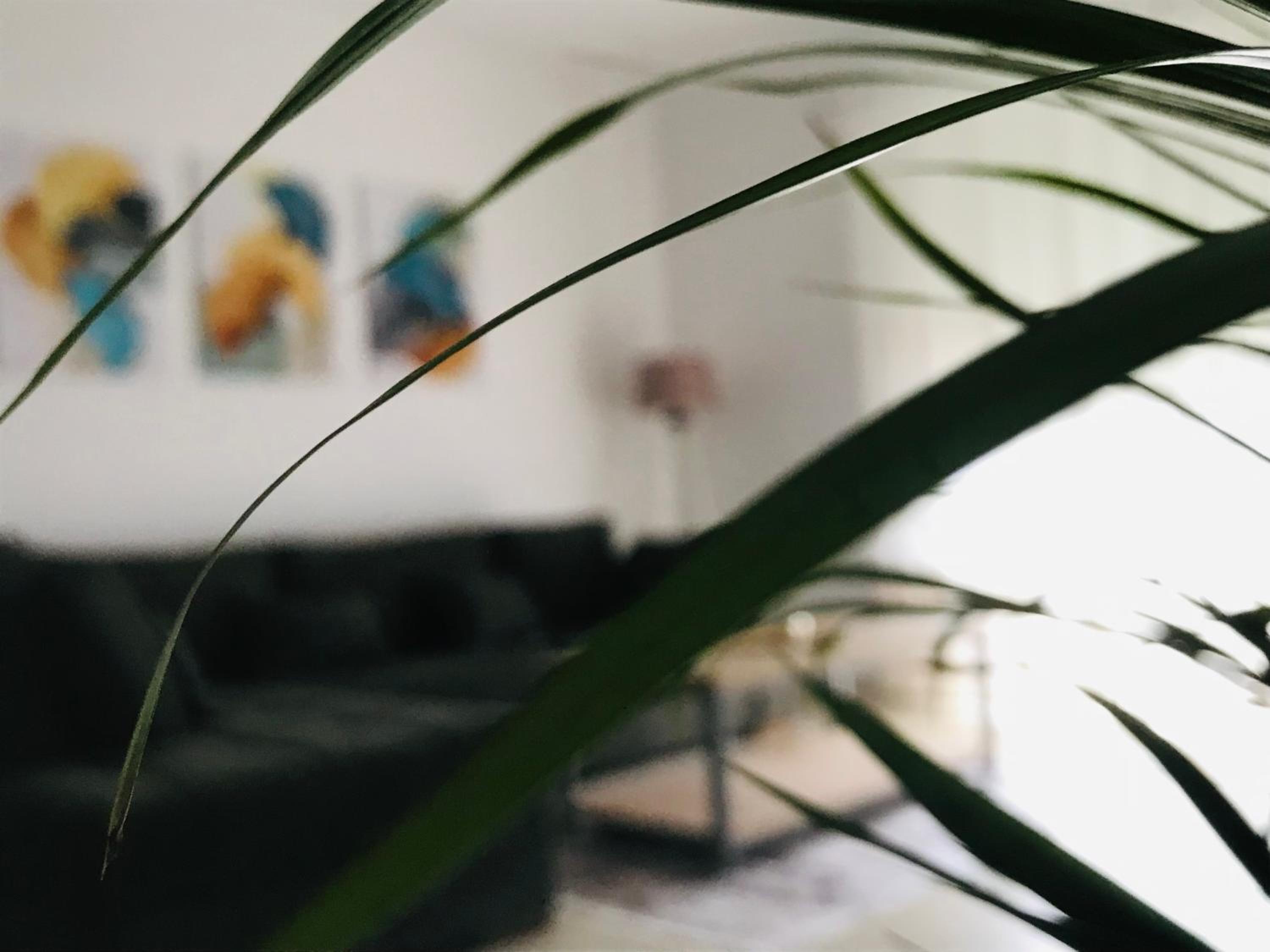 Blue Apartment