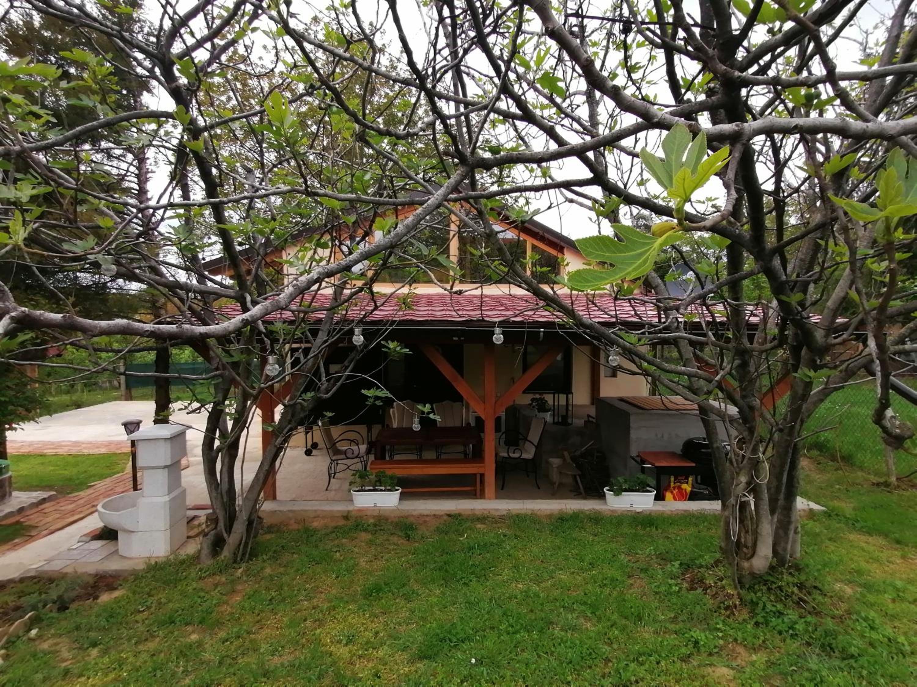 Photo 44