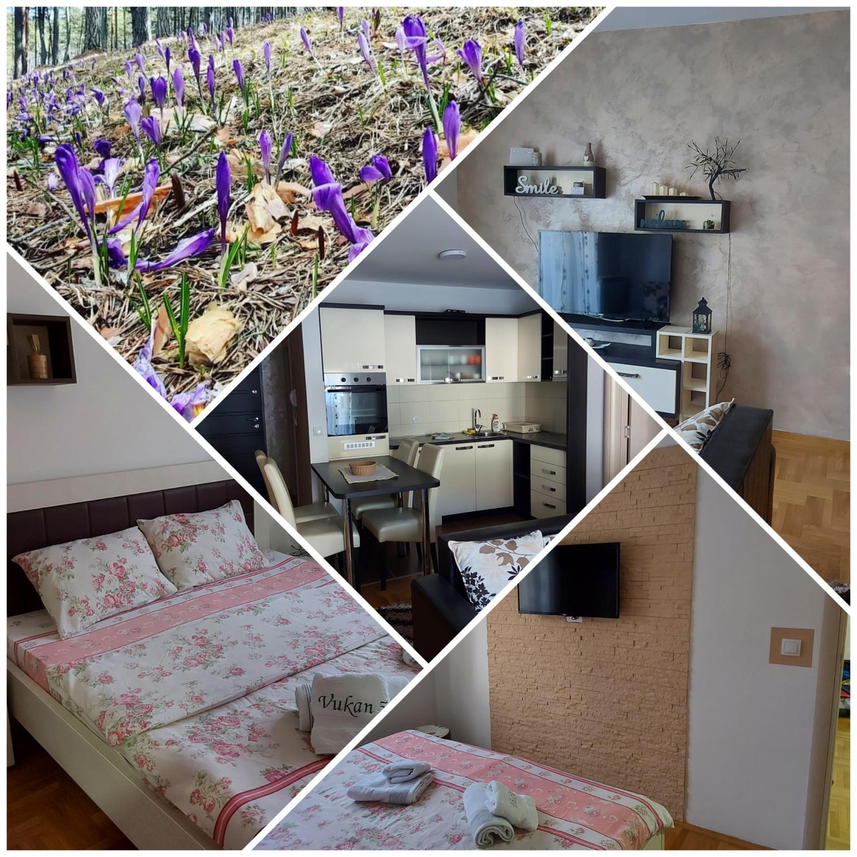 Apartman VUKAN petica view 2