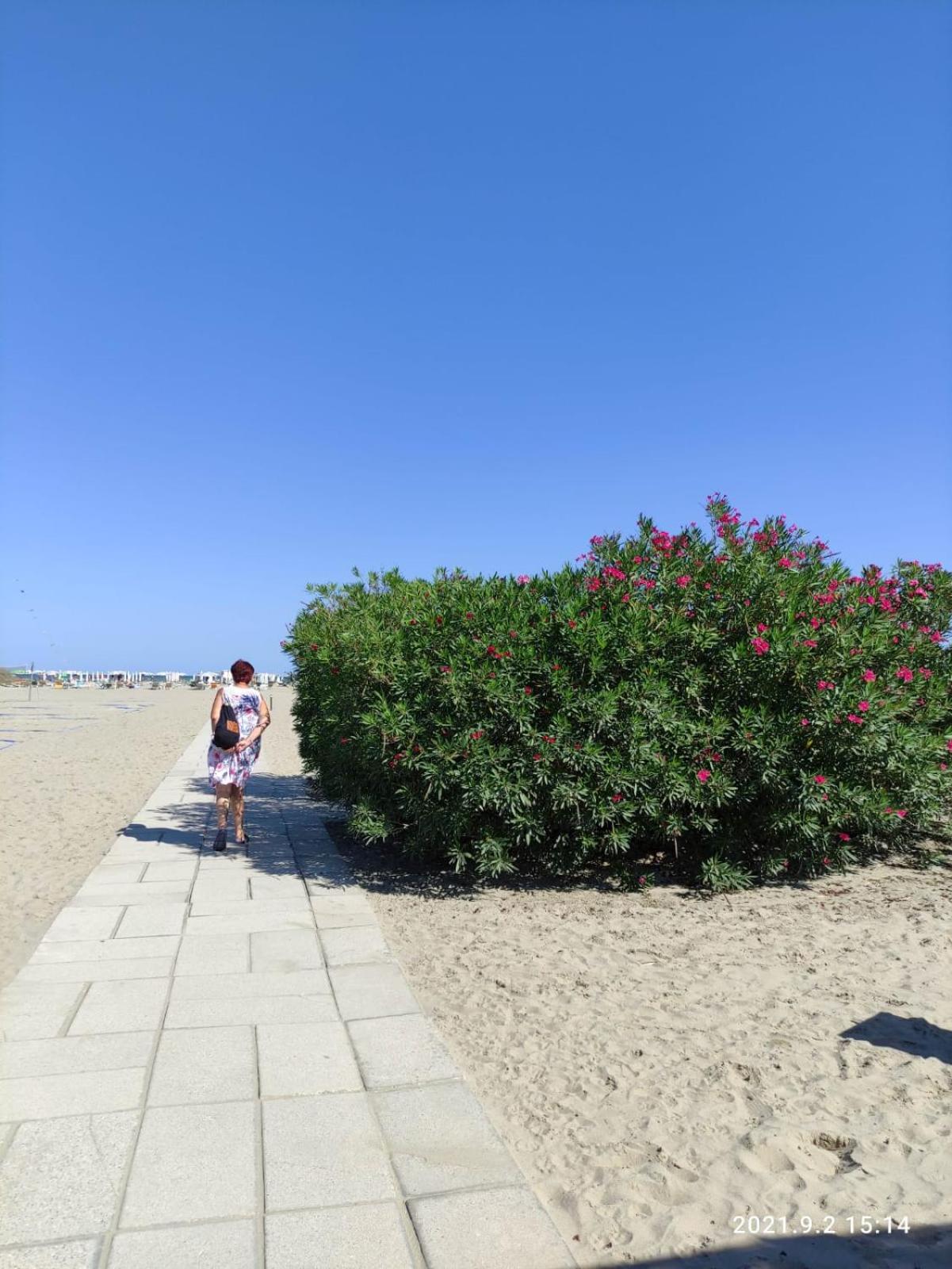 Photo 31