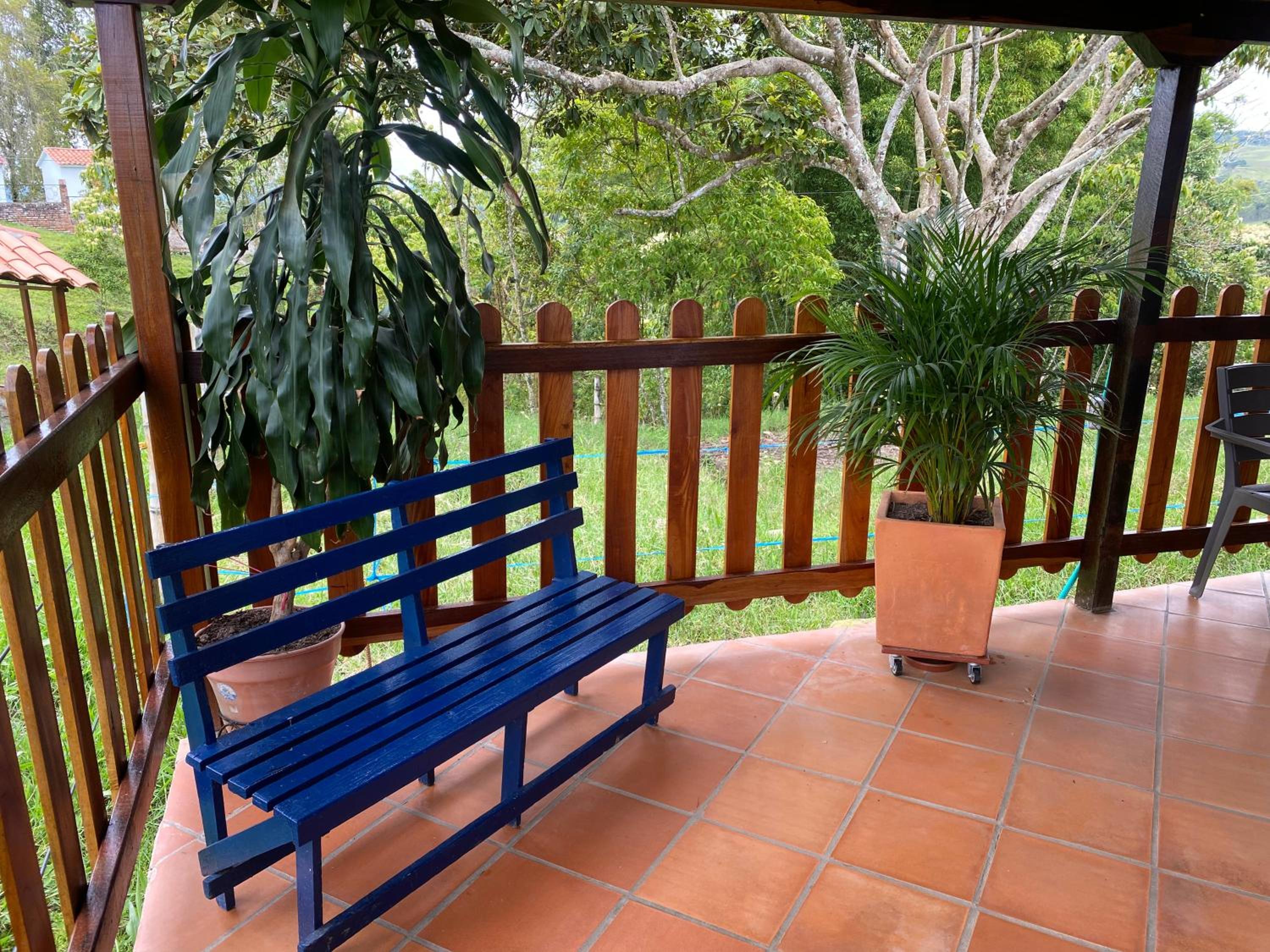 El Portal De Don Luis