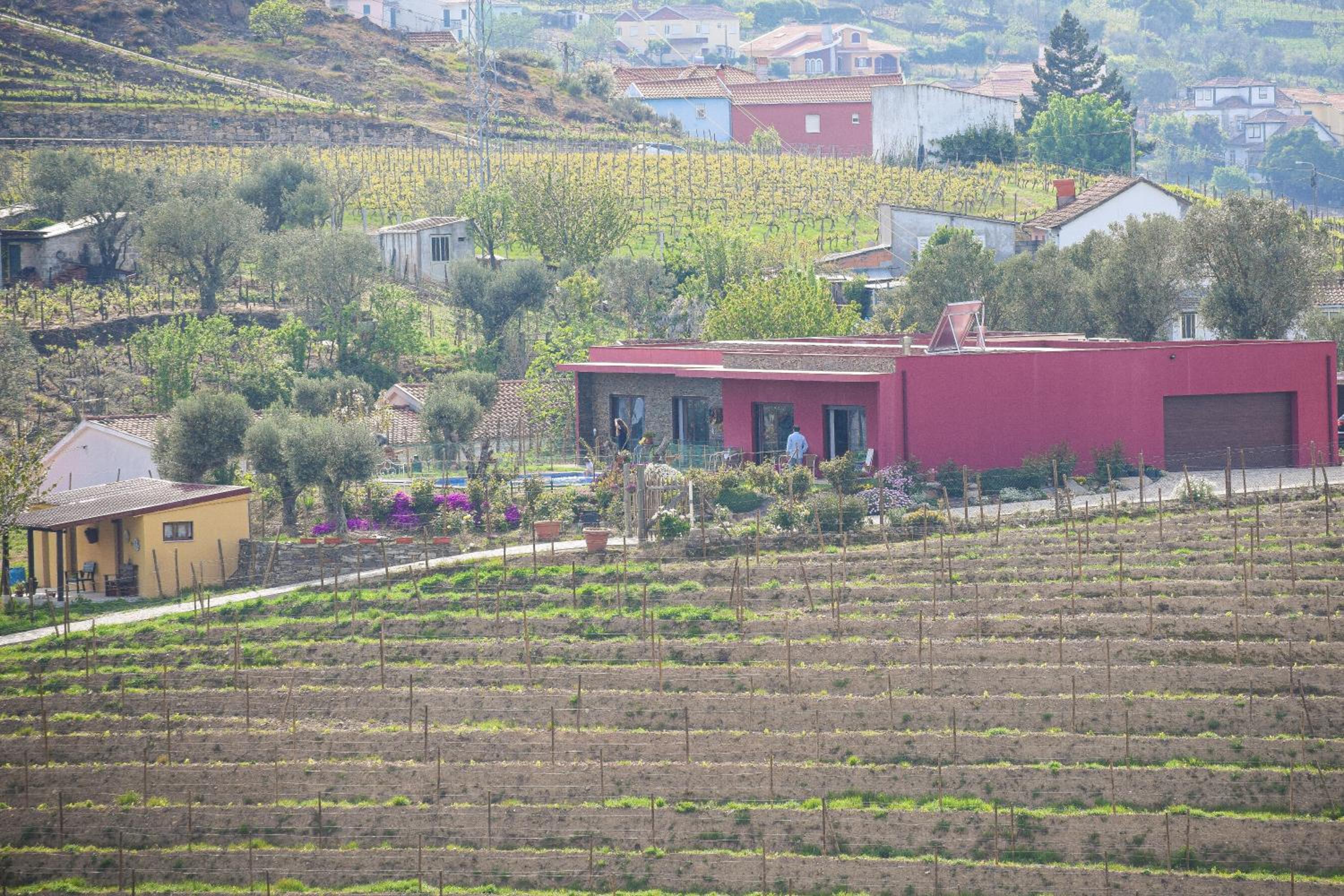 Quinta dos Padrinhos - Suites in the Heart of the Douro view 5