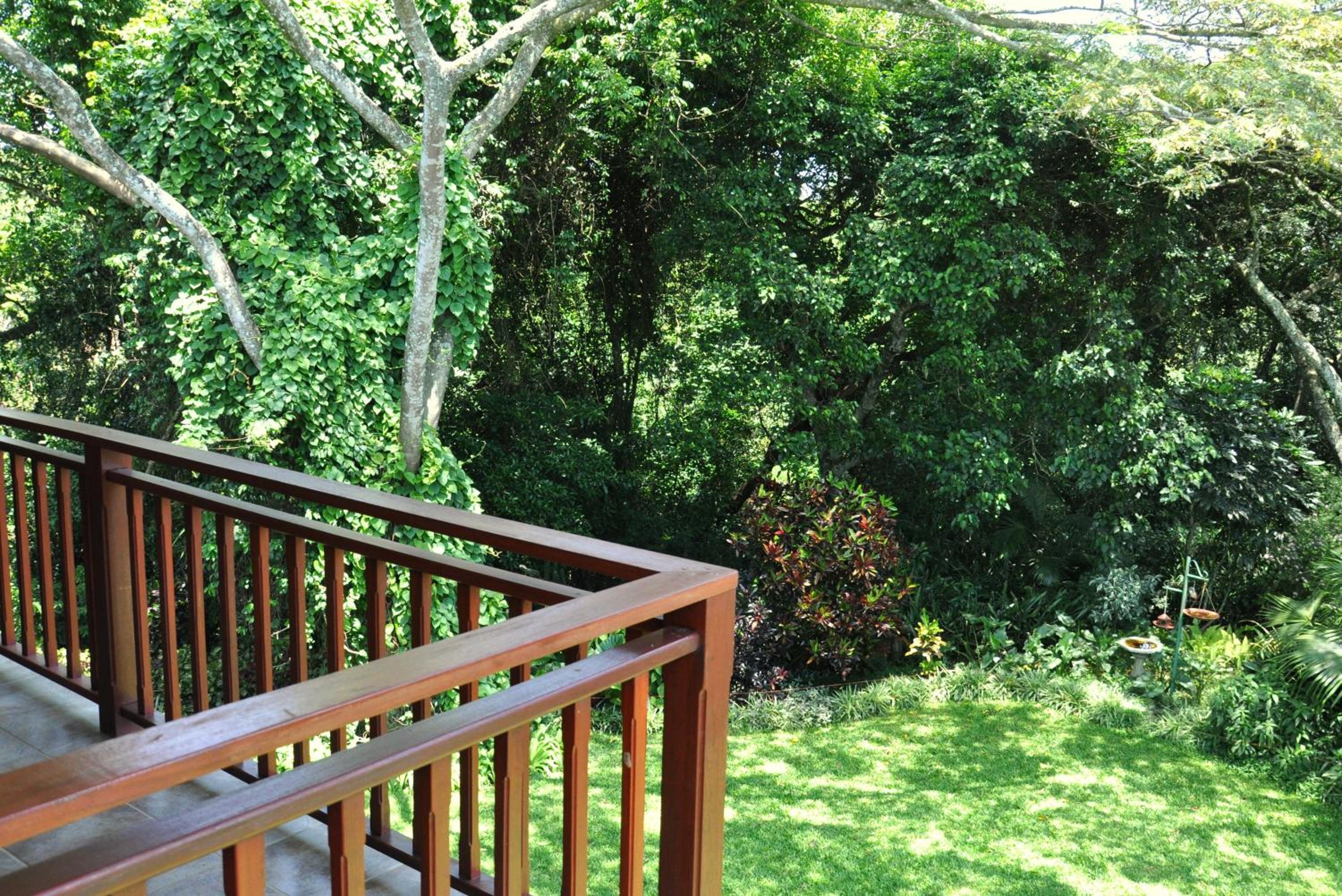 Birds of Paradise B&B
