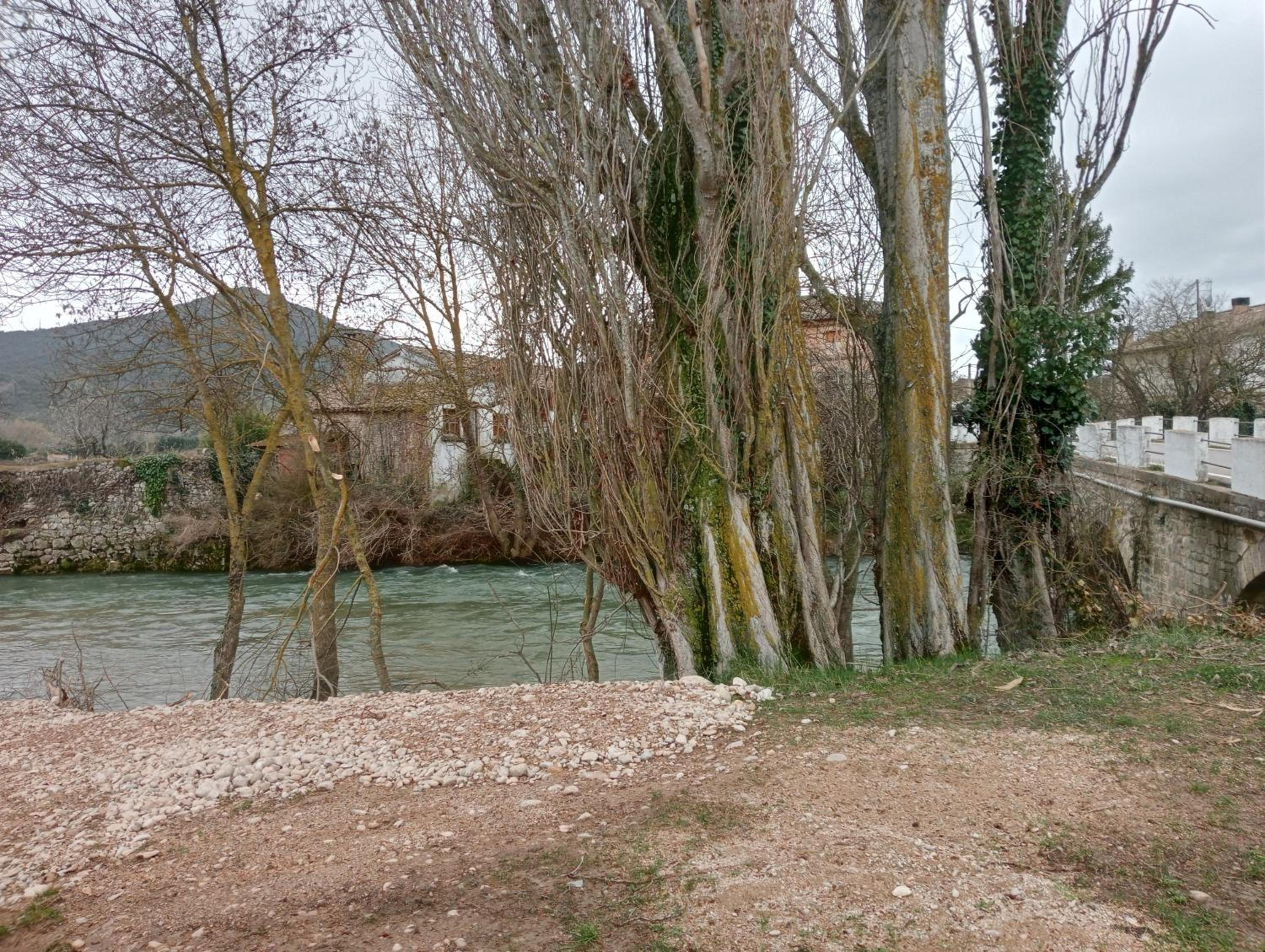 Photo 49