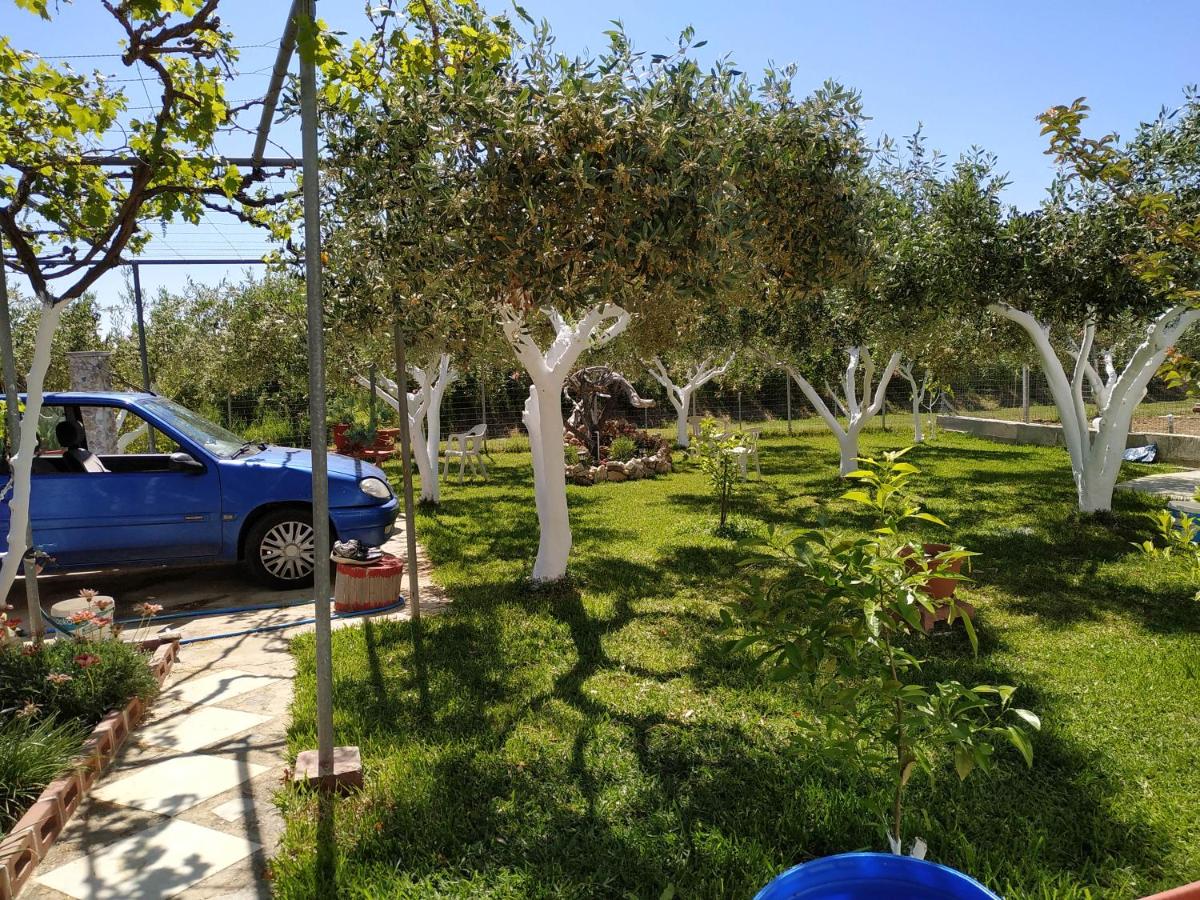 Photo 9