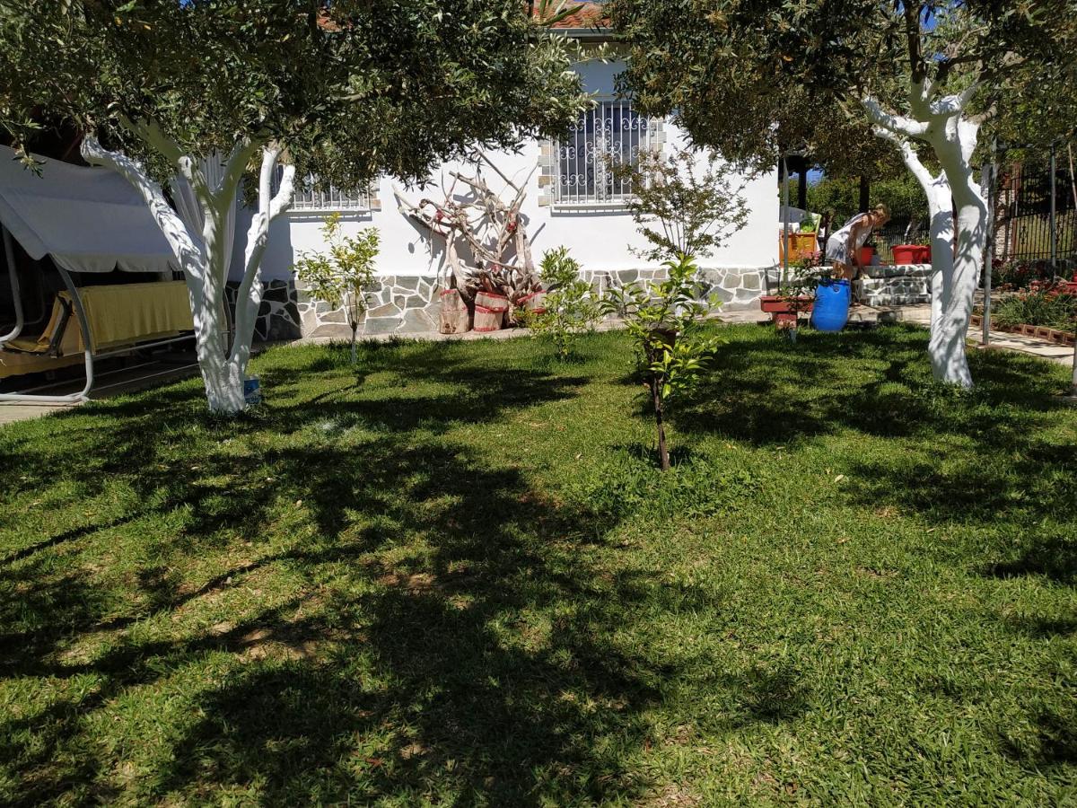 Photo 13