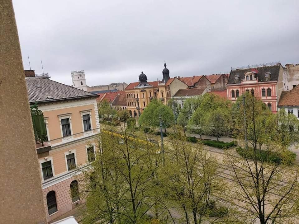Photo 46