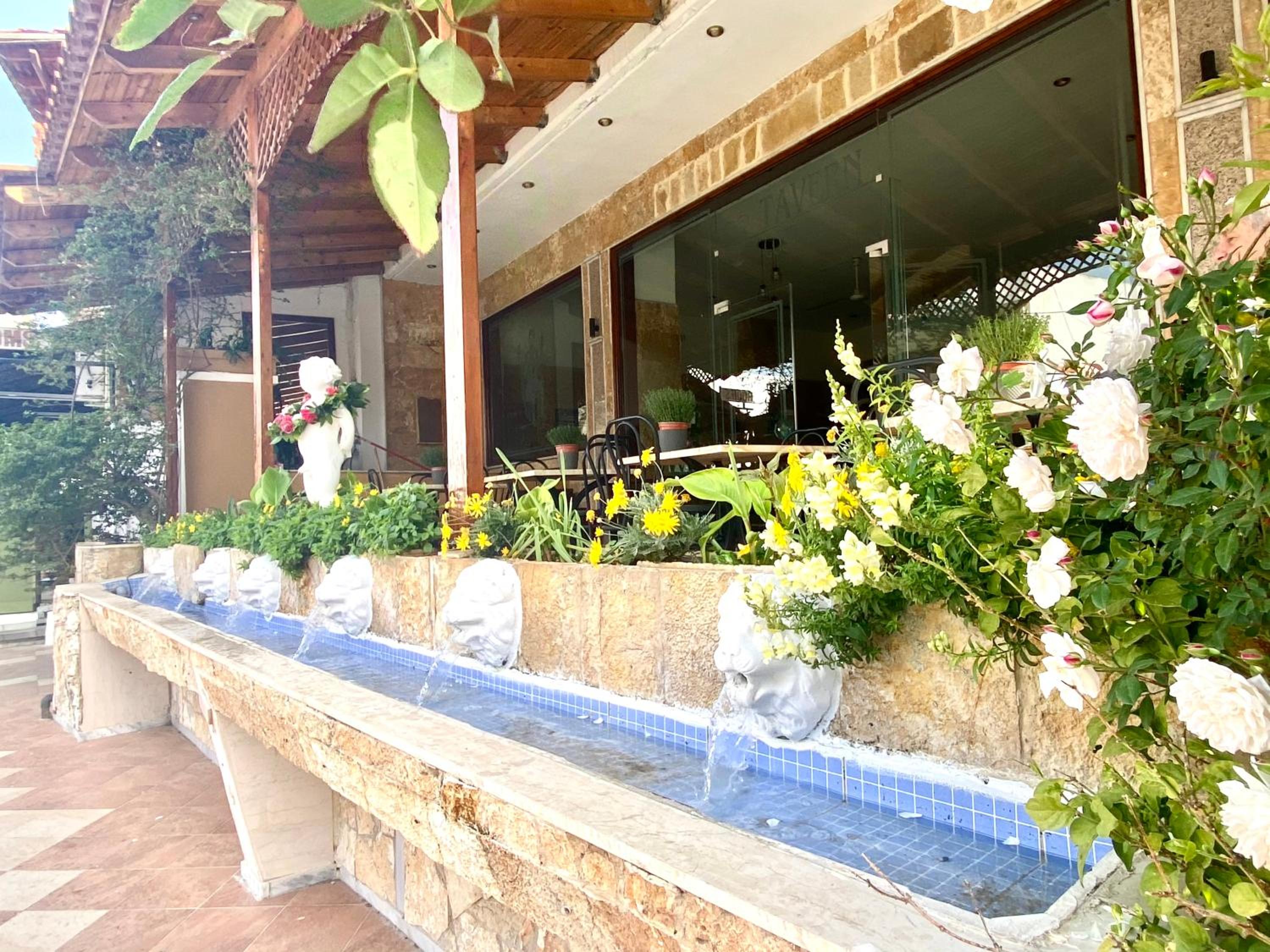 Costas Inn