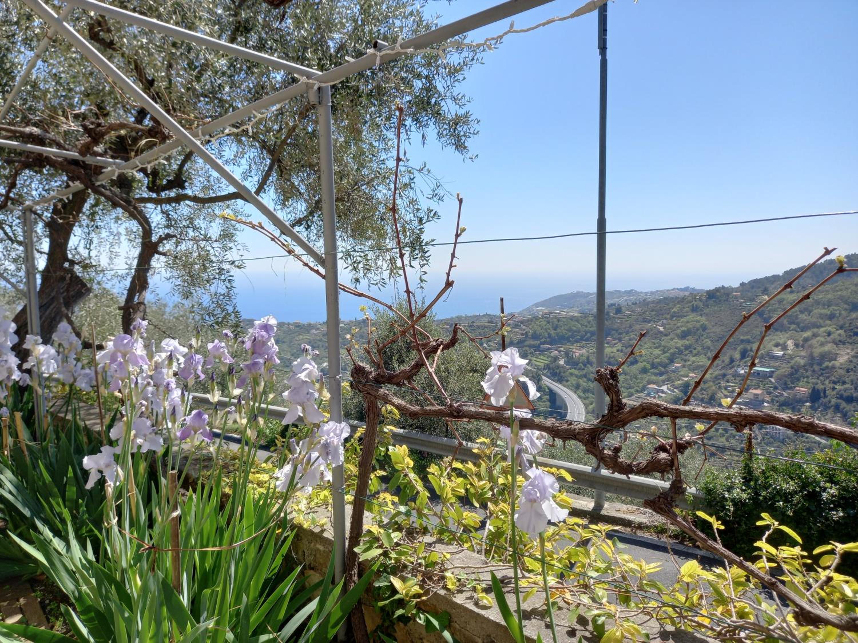 La casa di Elda view 4
