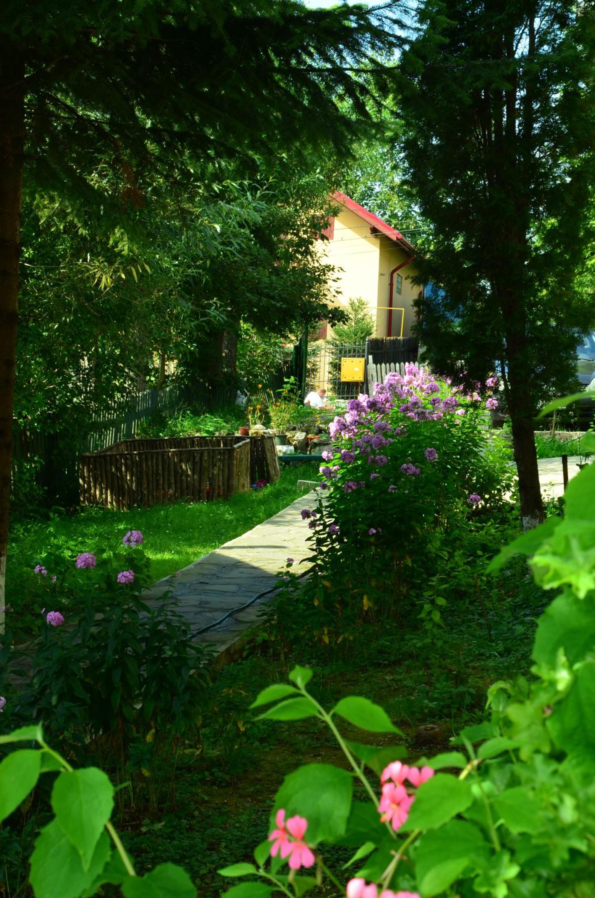 Photo 20