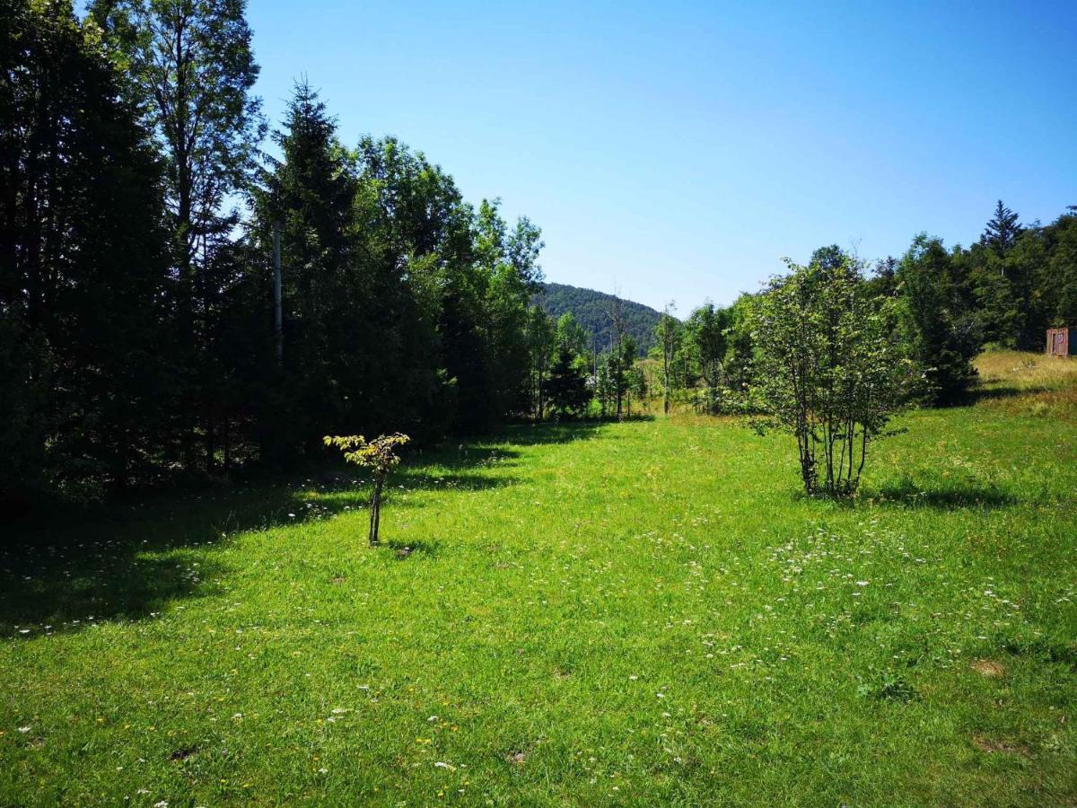 Photo 31