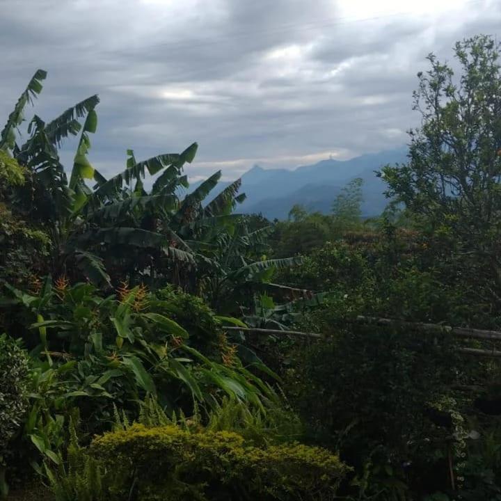 Finca Villa Hailey