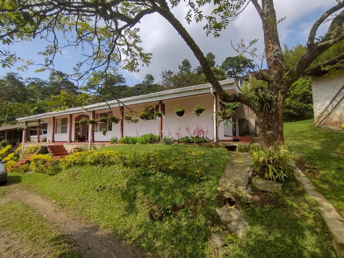 Finca Villa Hailey