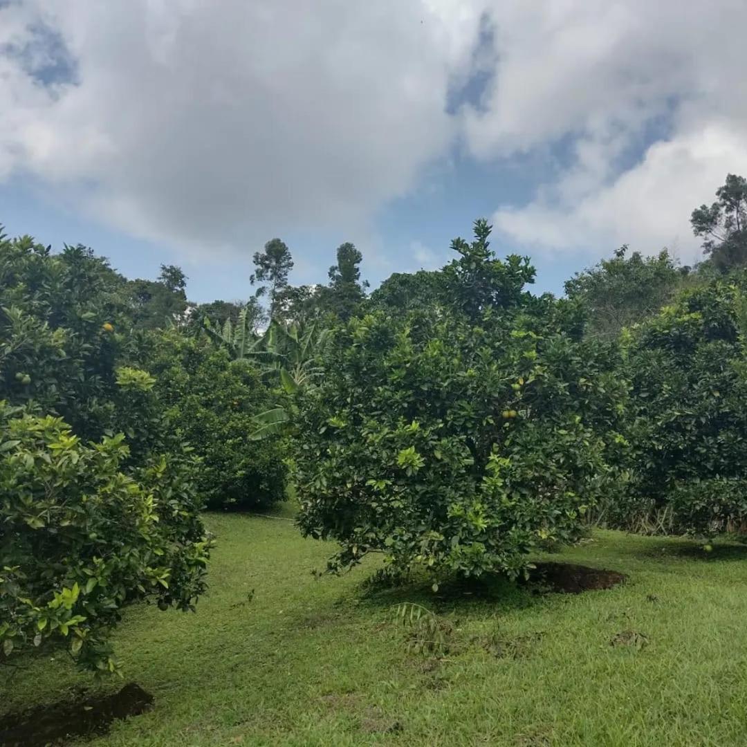 Finca Villa Hailey