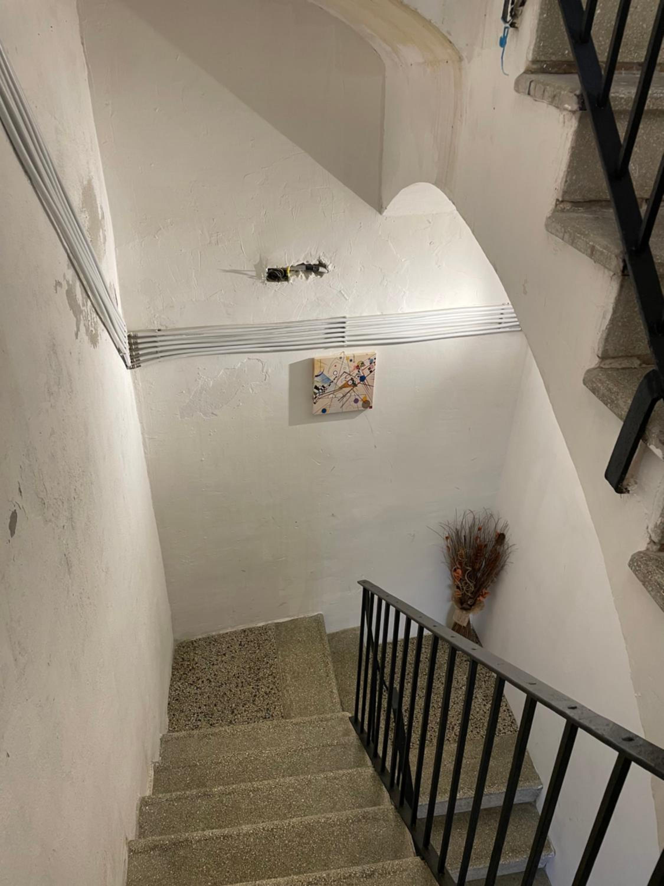 Civico 19 photo 5