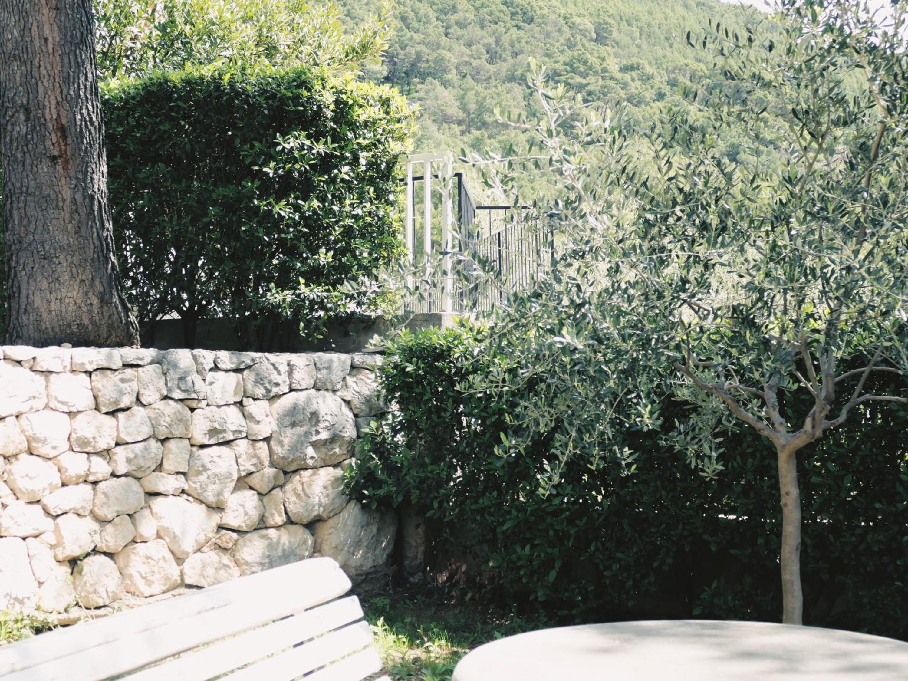 Photo 25