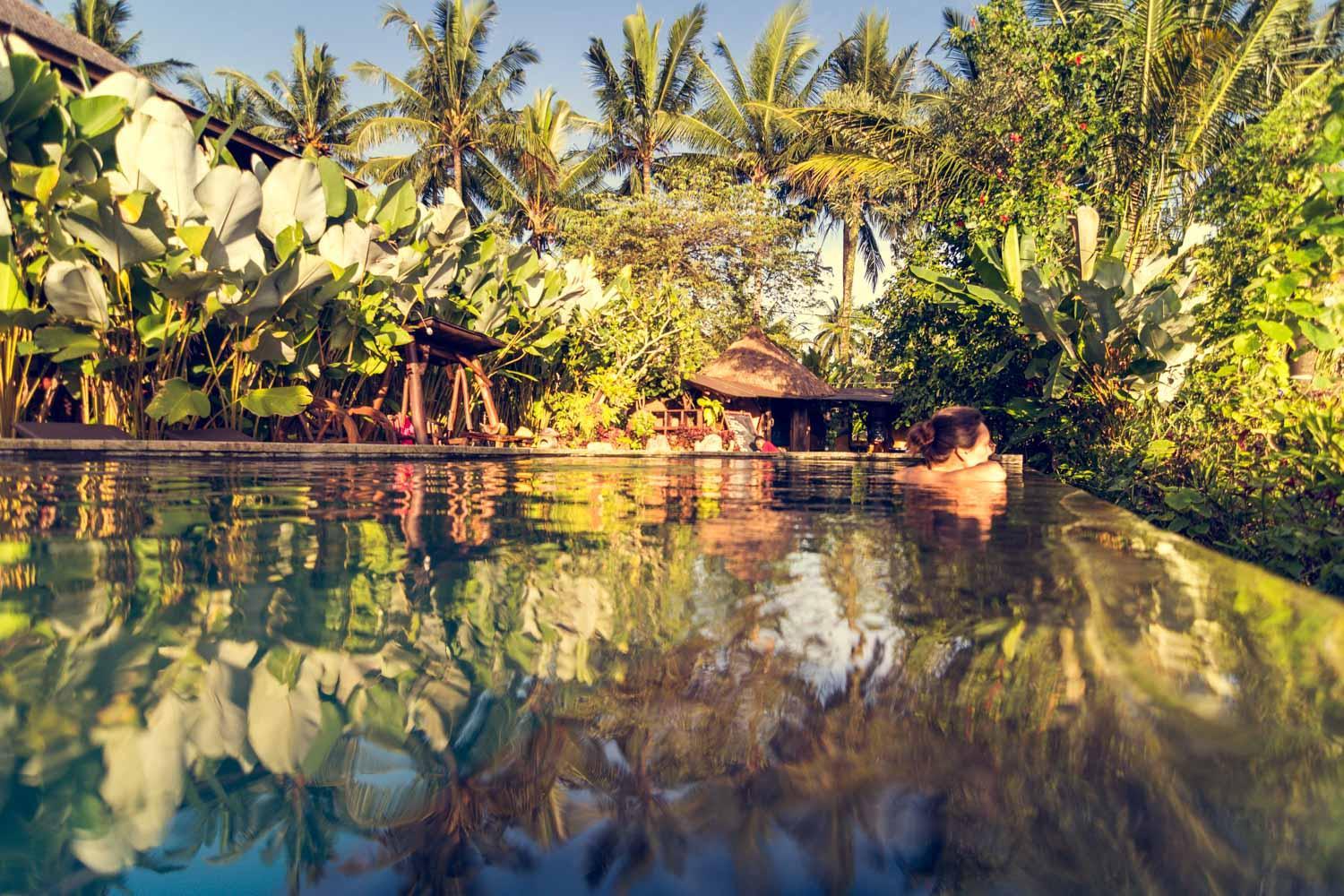 Dragonfly Village