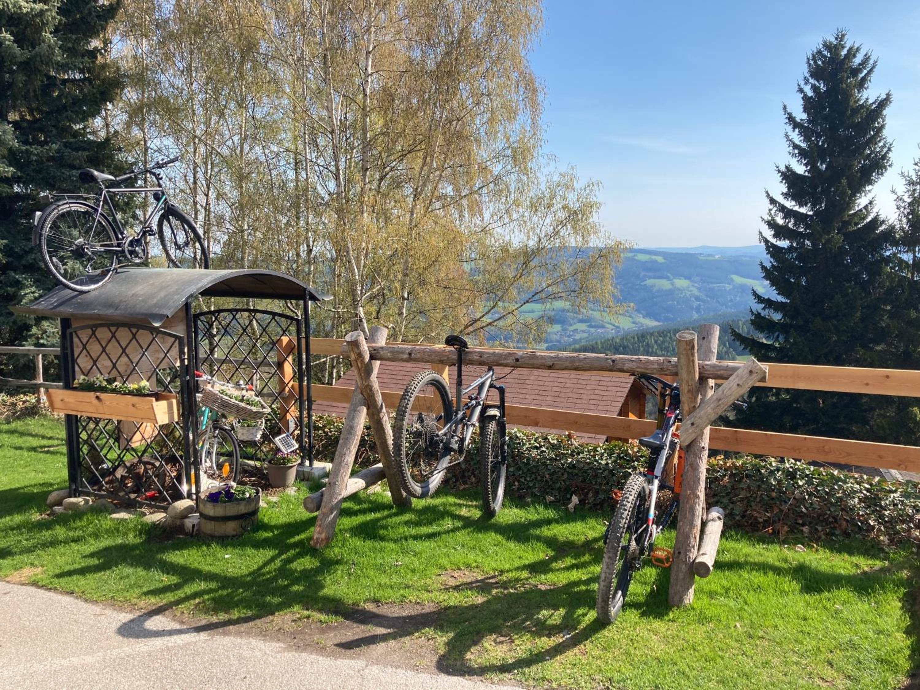 WeiXL Schi&Bike Appartements-Bike in&Bike out neben Wexl Trails Bikepark