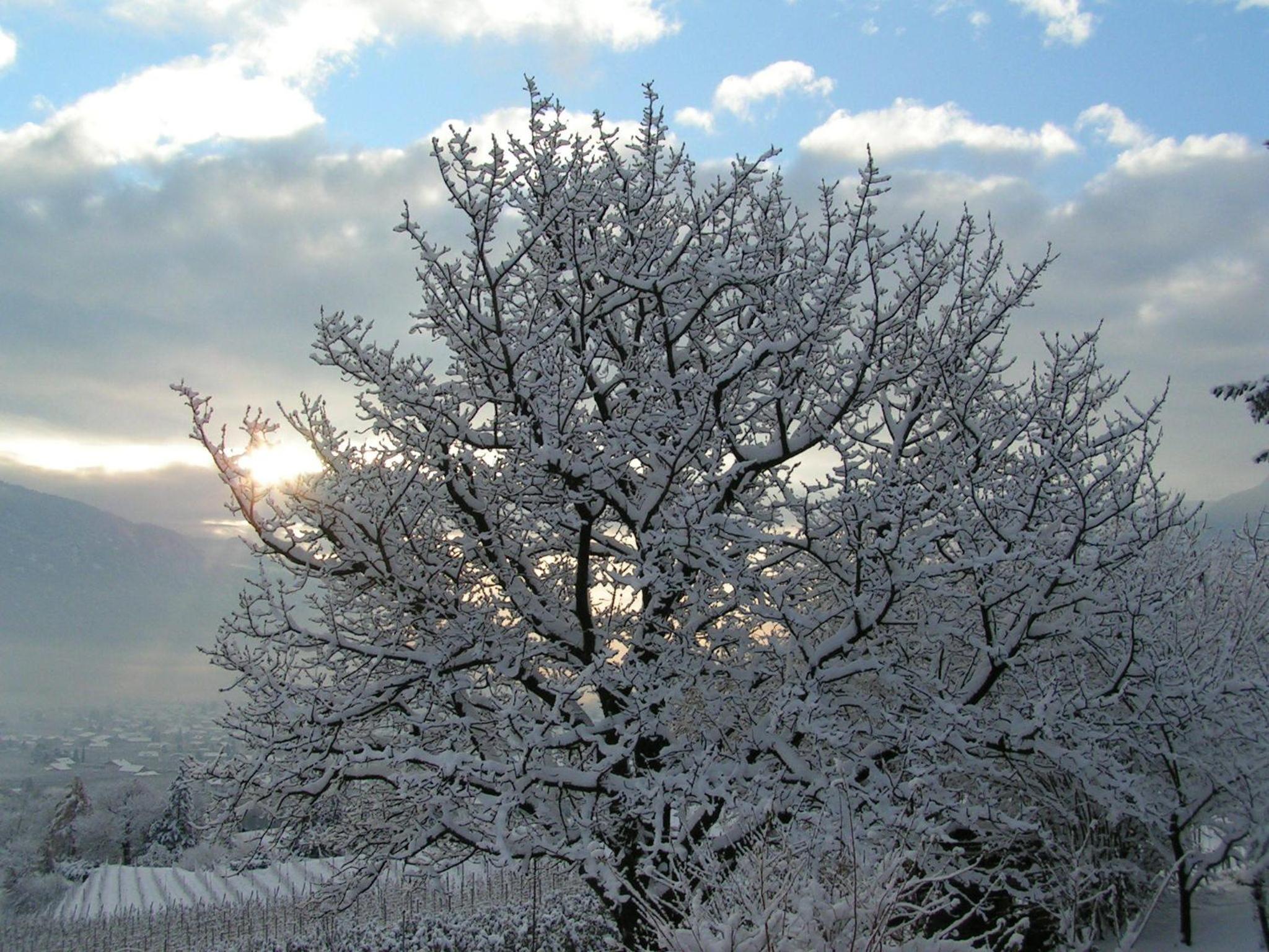 Unterbrunnerhof view 4