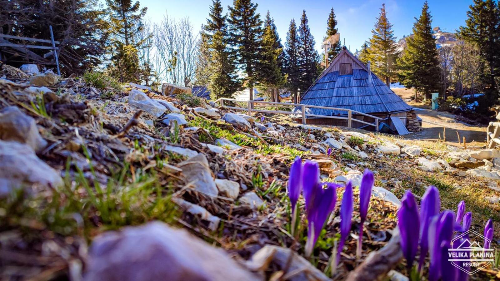 Chalet Encijan - Velika planina view 2
