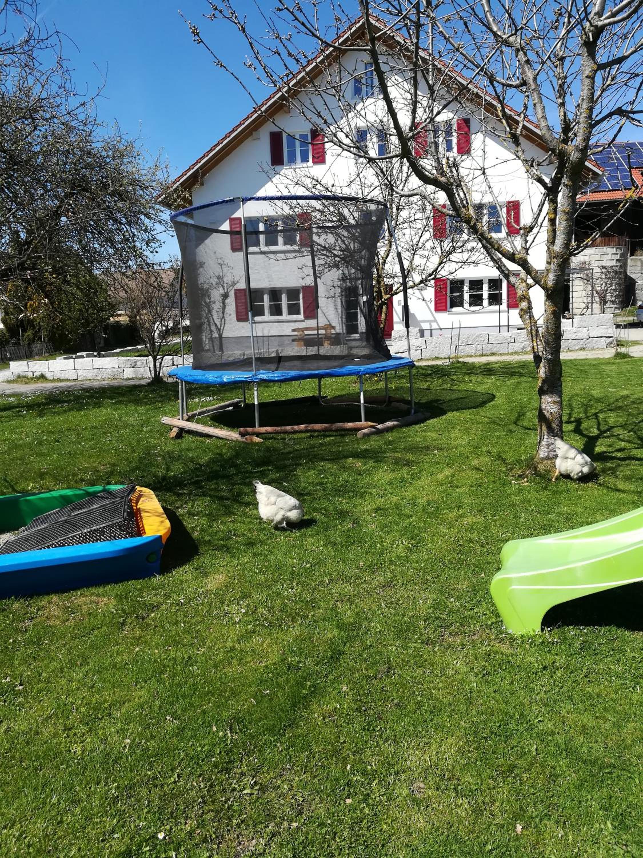 Photo 23