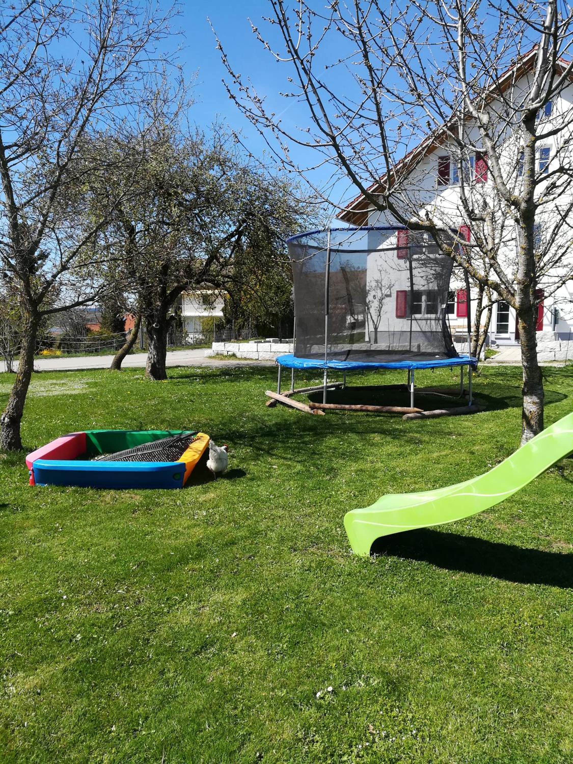 Photo 22