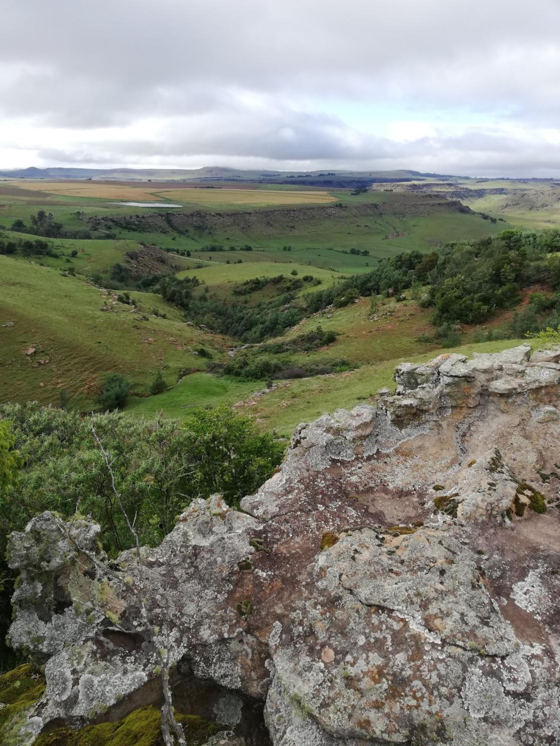 Sheeprun Farmstay view 2