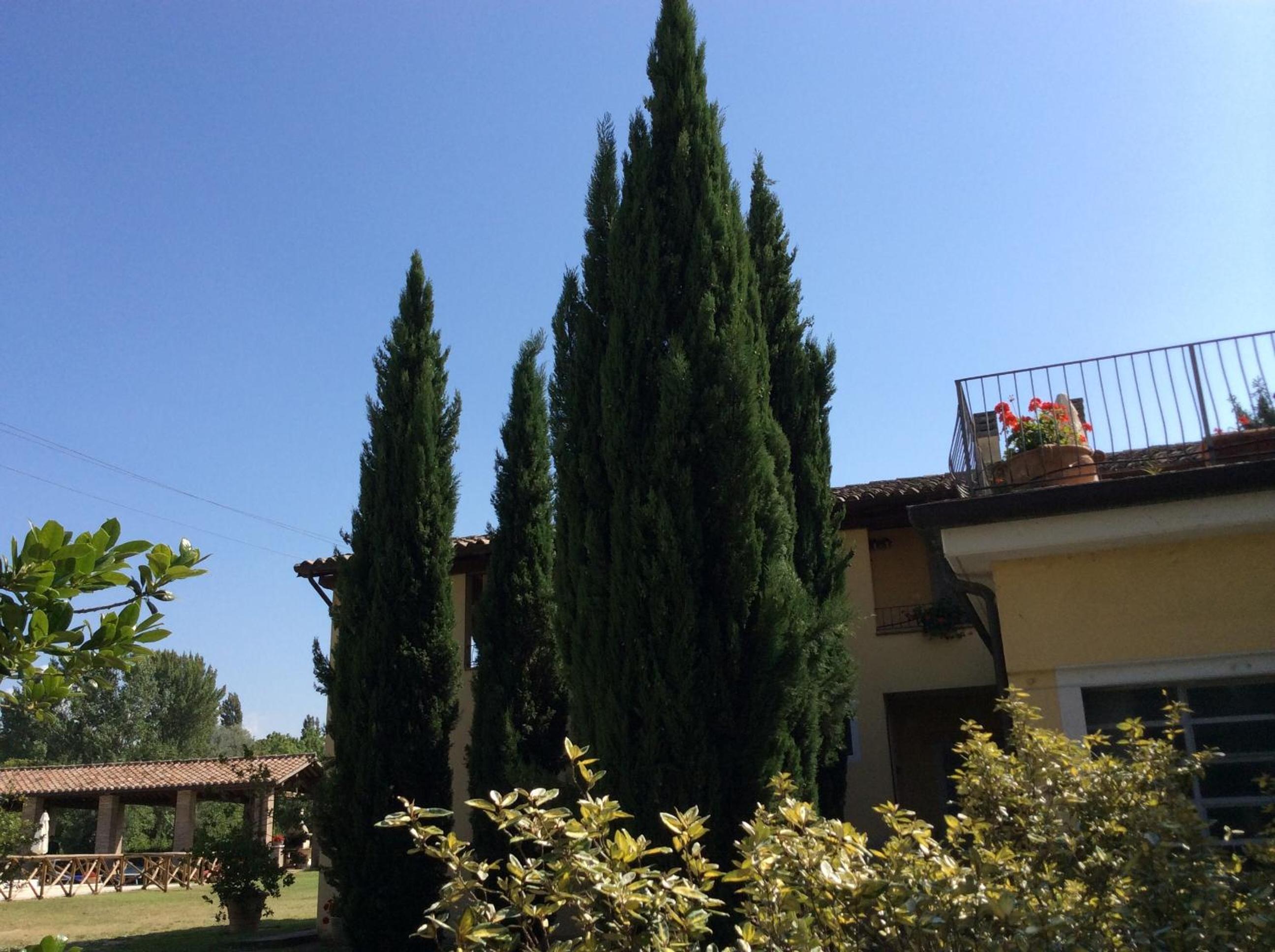 Agriturismo Il Mulino del Vescovo