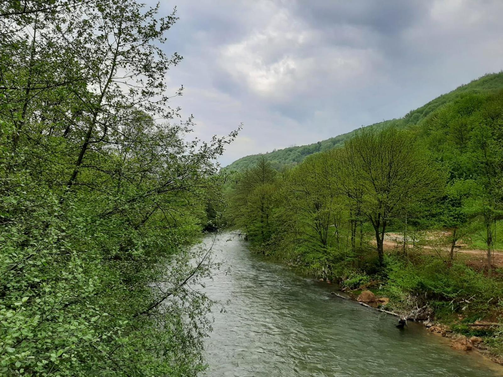 Apartman Dujmović view 4