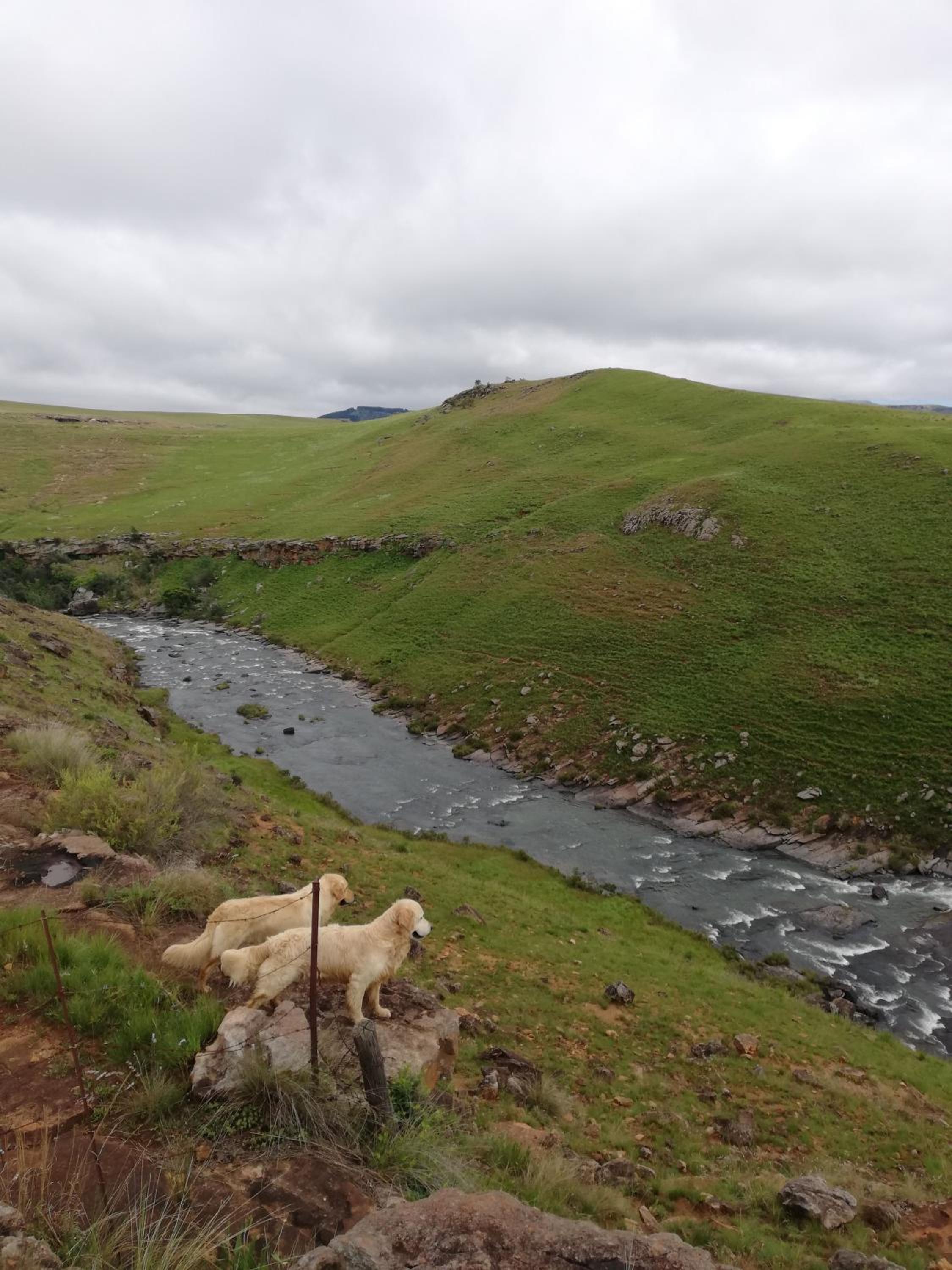 Sheeprun Farmstay view 4
