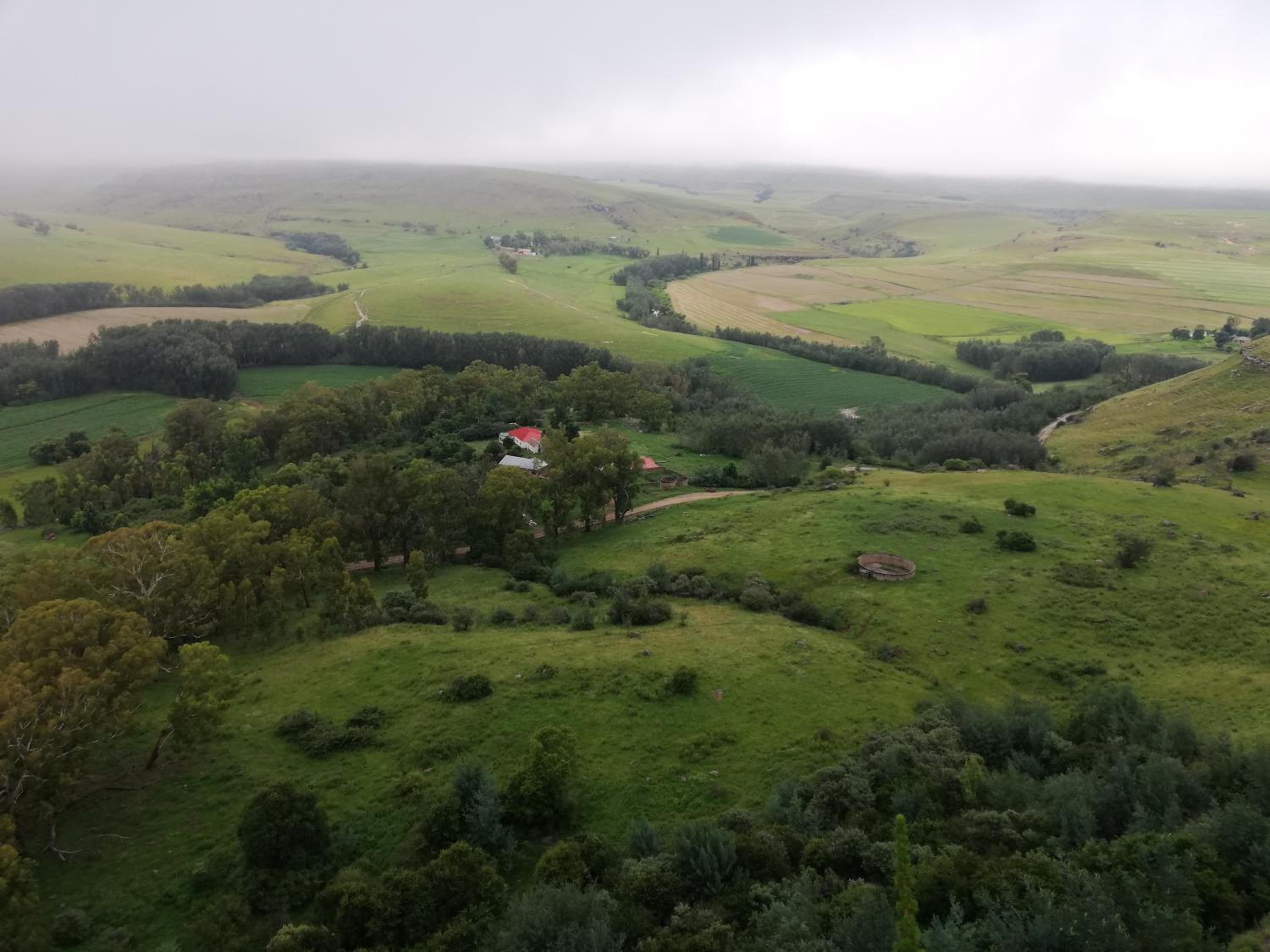 Sheeprun Farmstay view 5