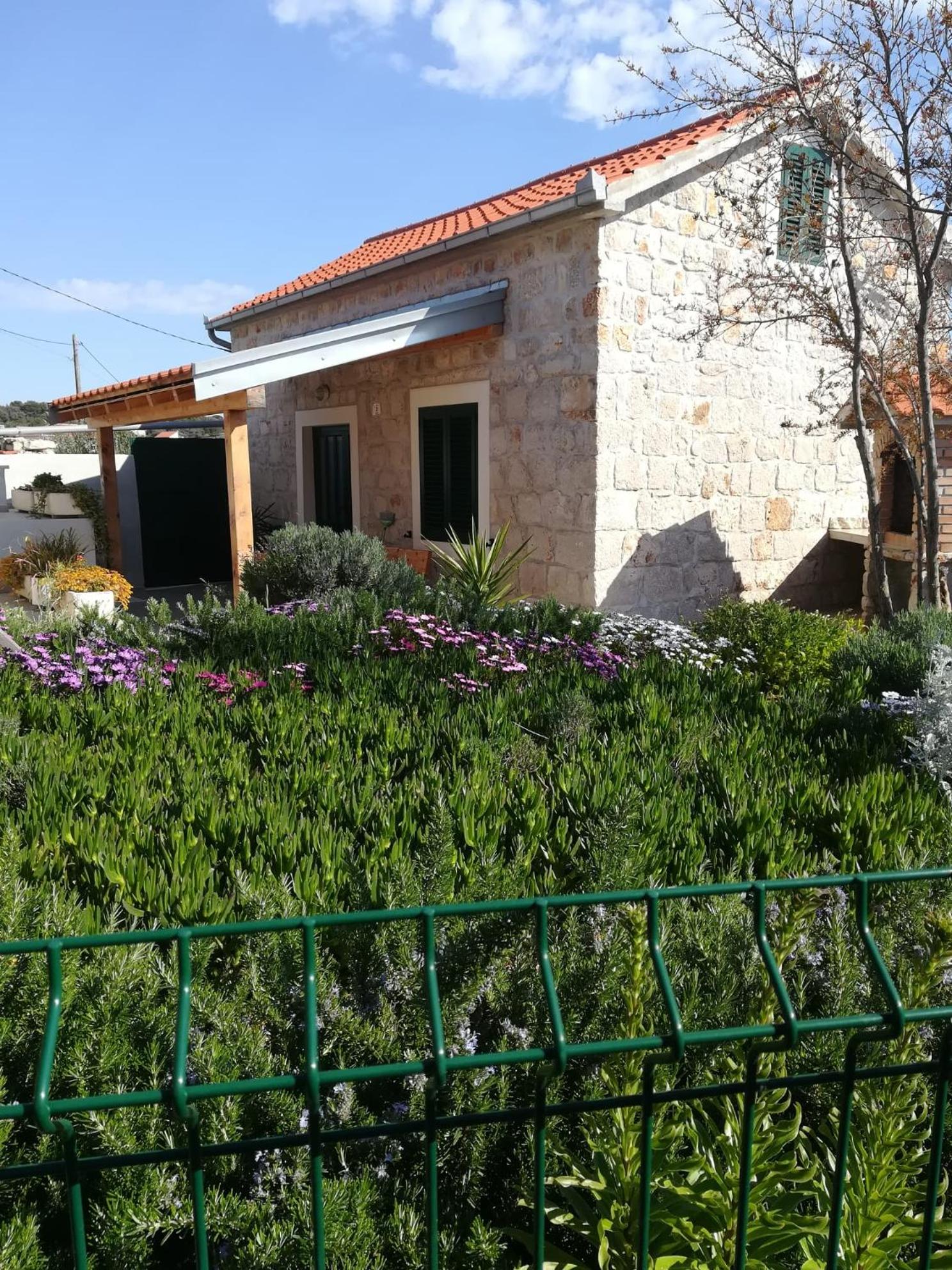 Photo 12