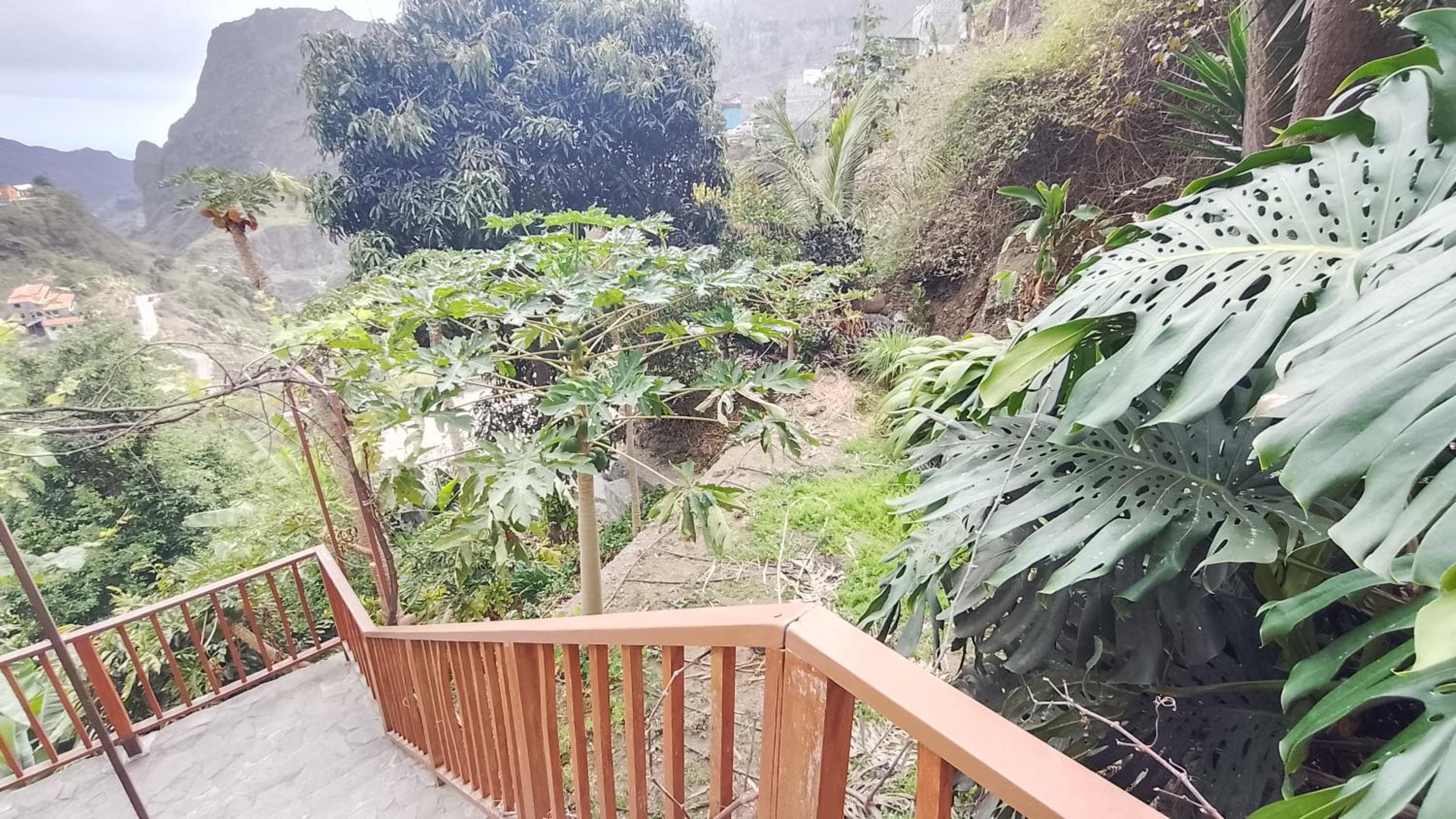 Casa Cavoquinho