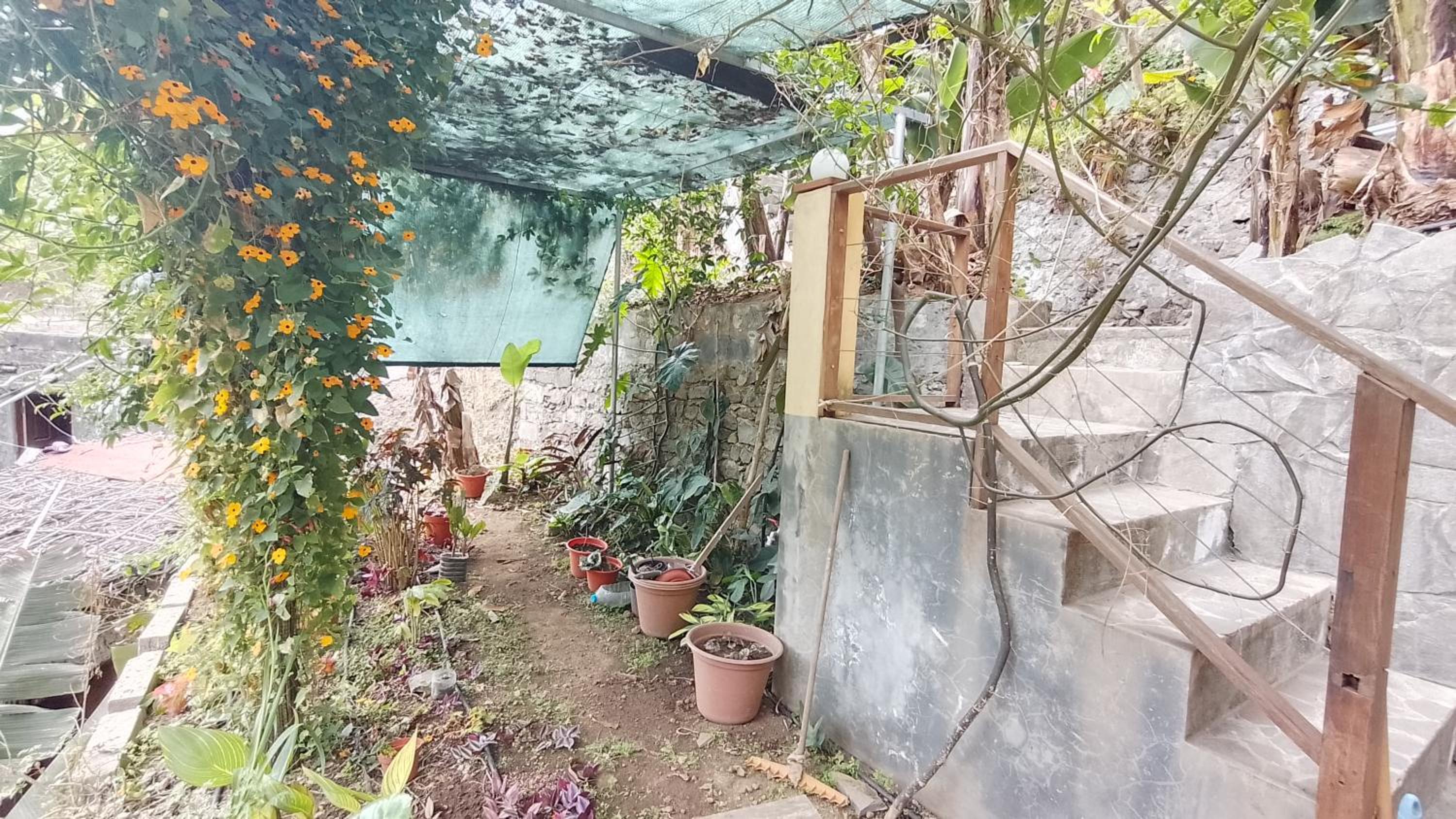 Casa Cavoquinho