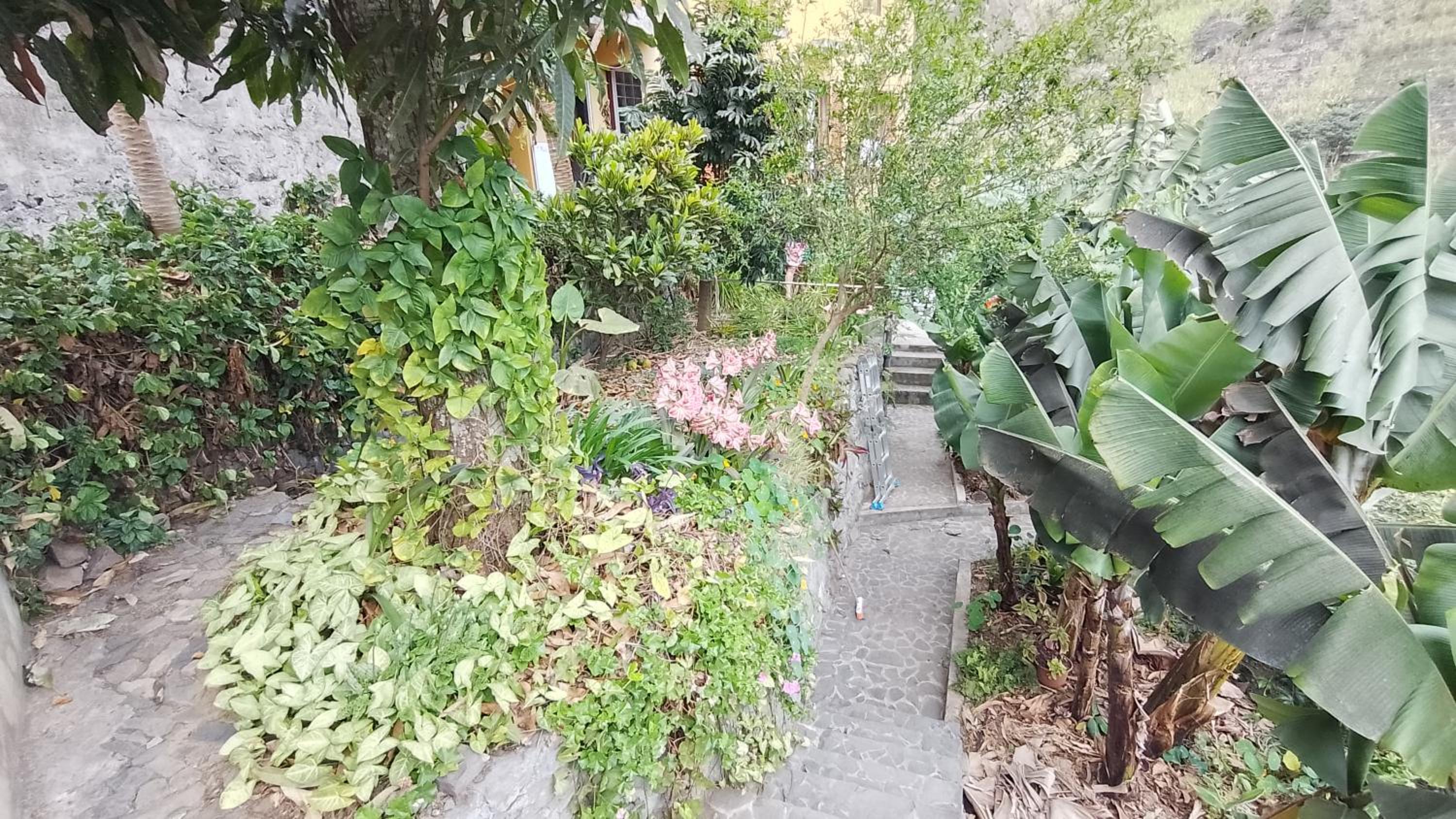 Casa Cavoquinho