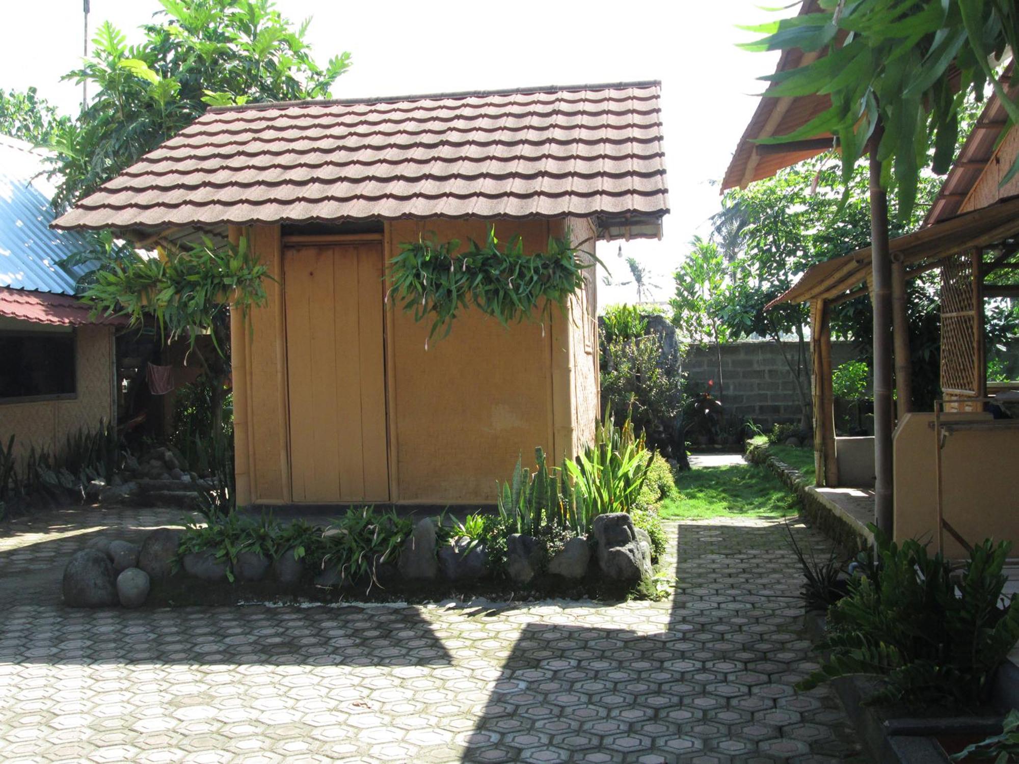 Photo 10