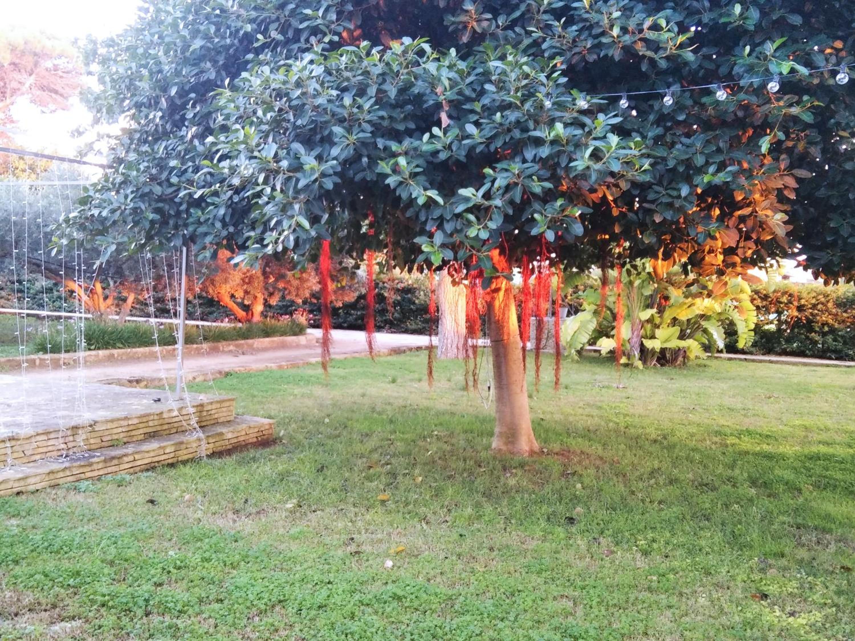 Photo 34