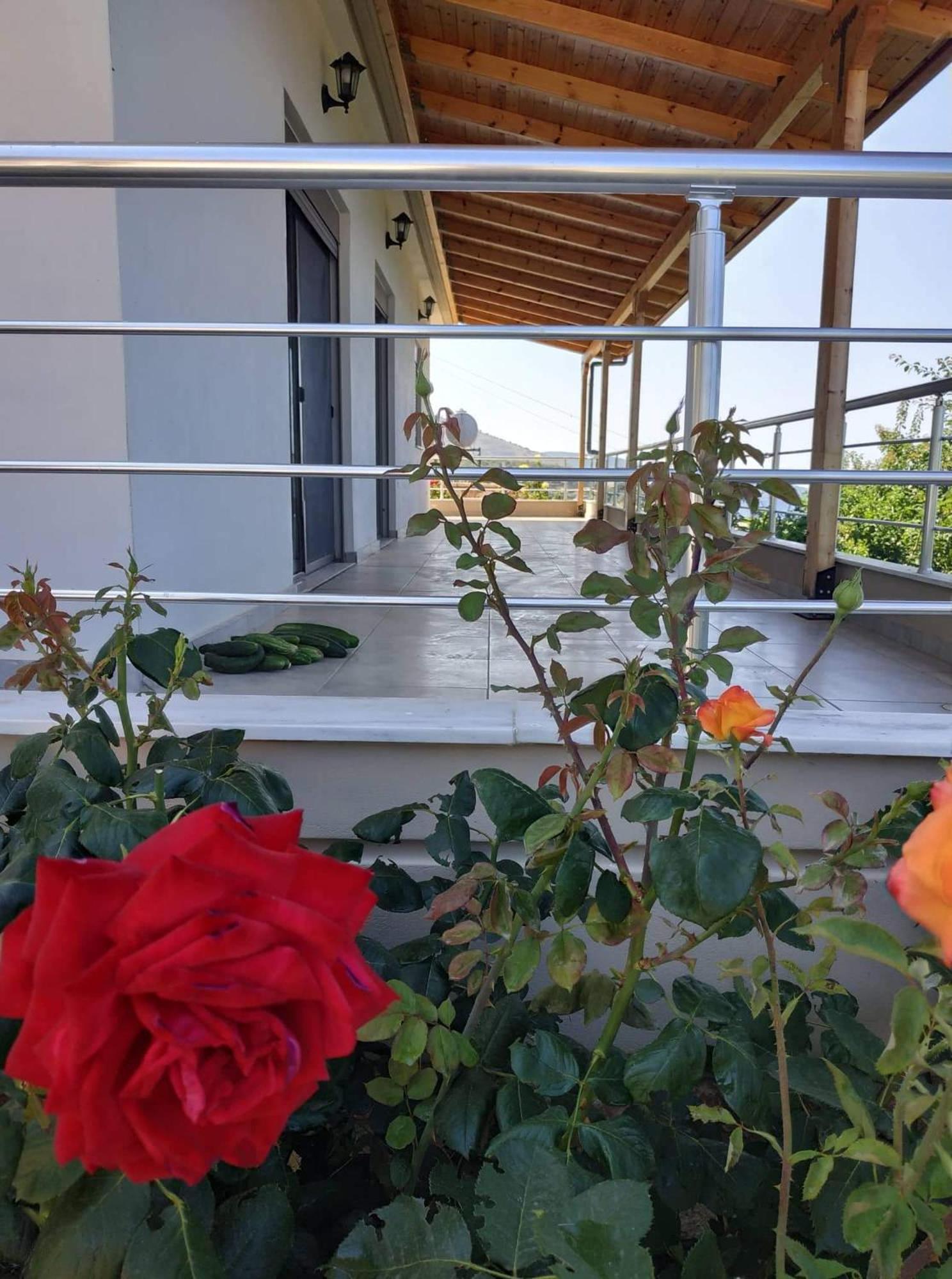 VIEW Apartment LUKOVE photo 2