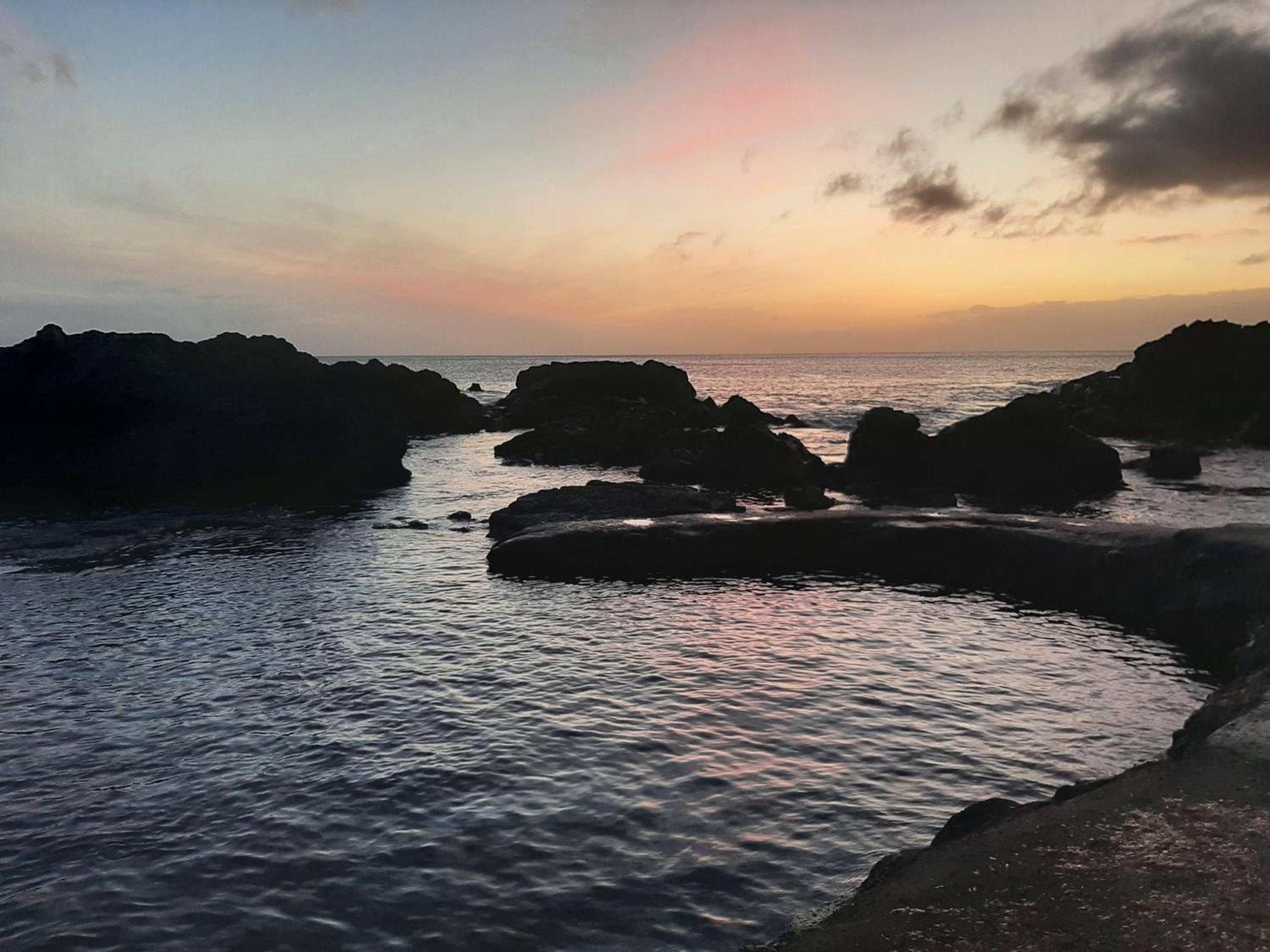 Vila Nikau - Garden by the Sea view 3